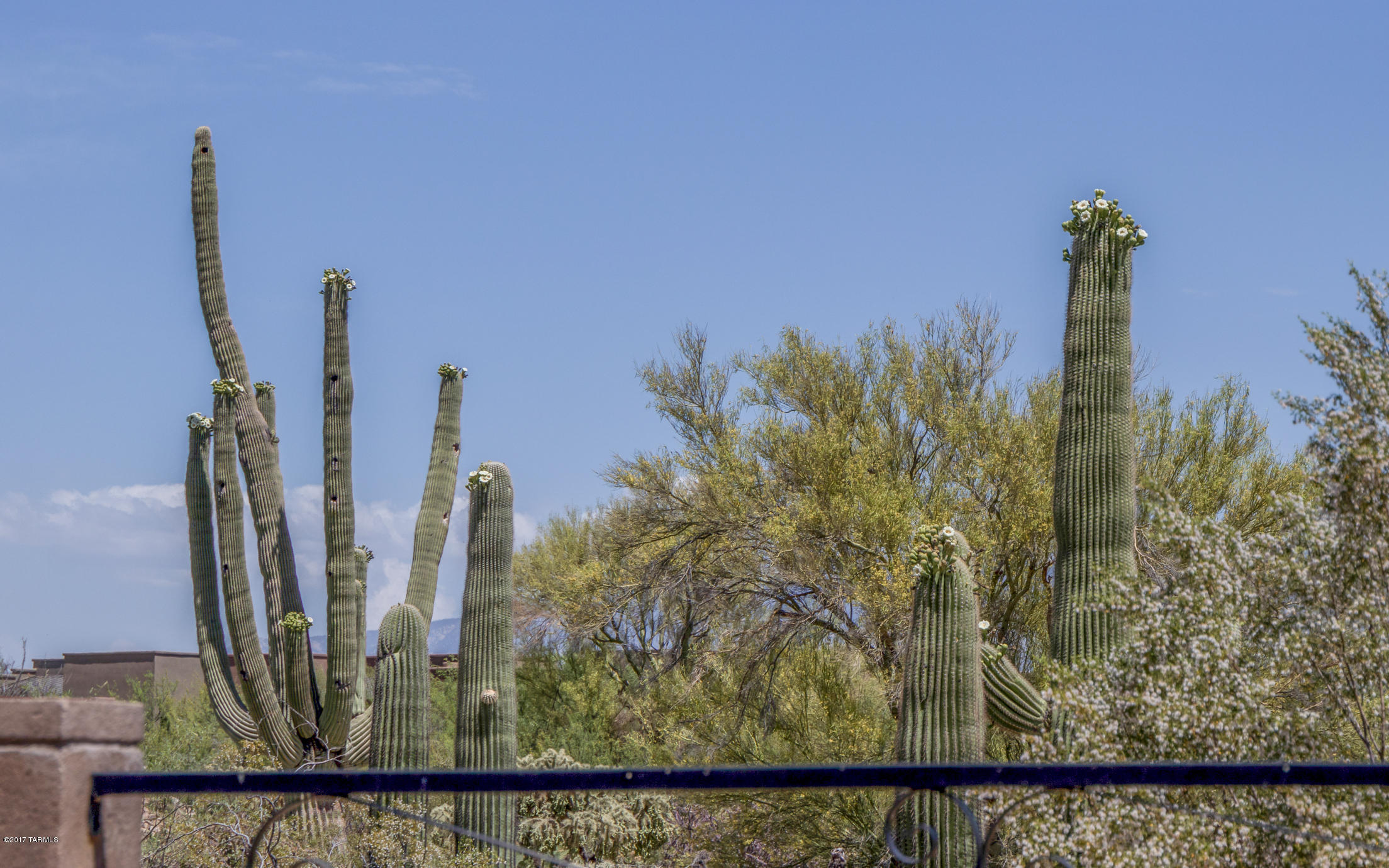 Preserve IV at Dove Mountain (487-529, 535-576, 606-650) - Residential