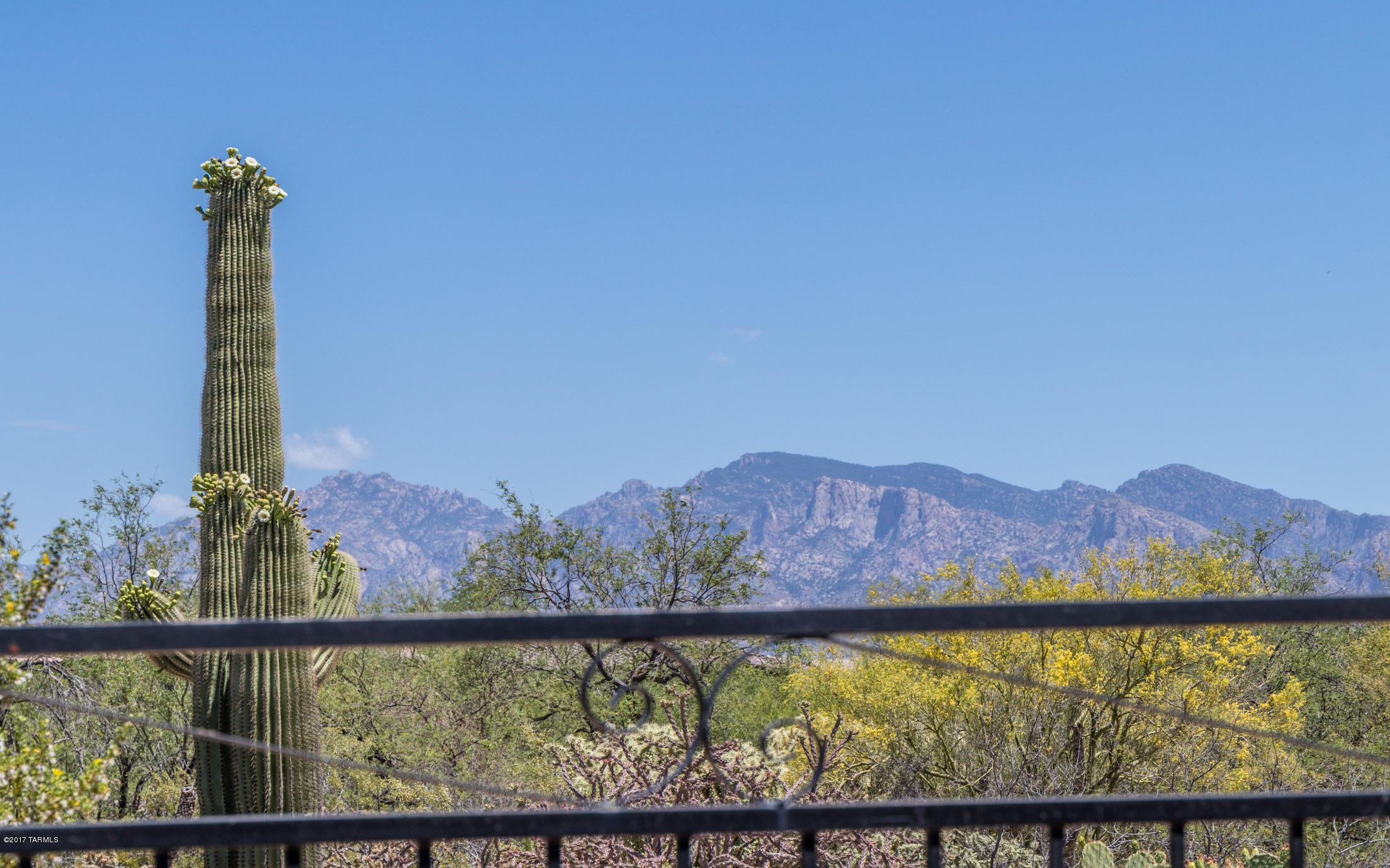 Preserve IV at Dove Mountain (487-529, 535-576, 606-650) - Residential