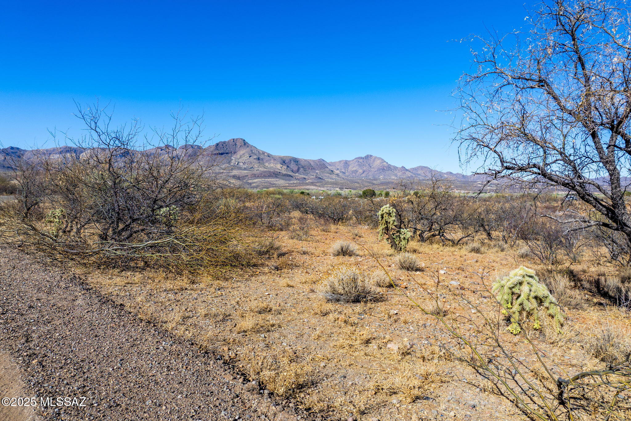 Rio Rico Estates 16 - Land