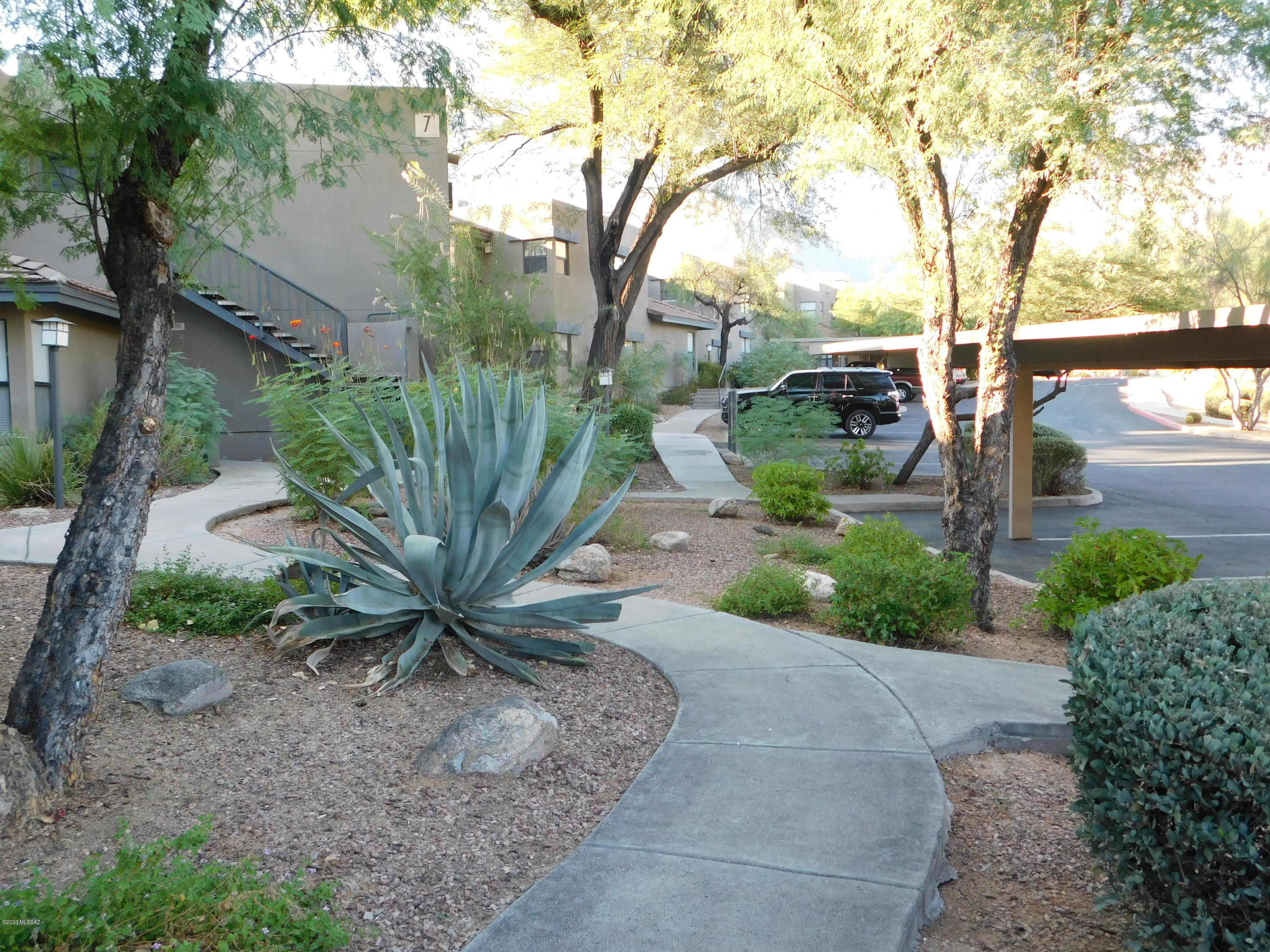 Greens at Ventana Canyon - Residential