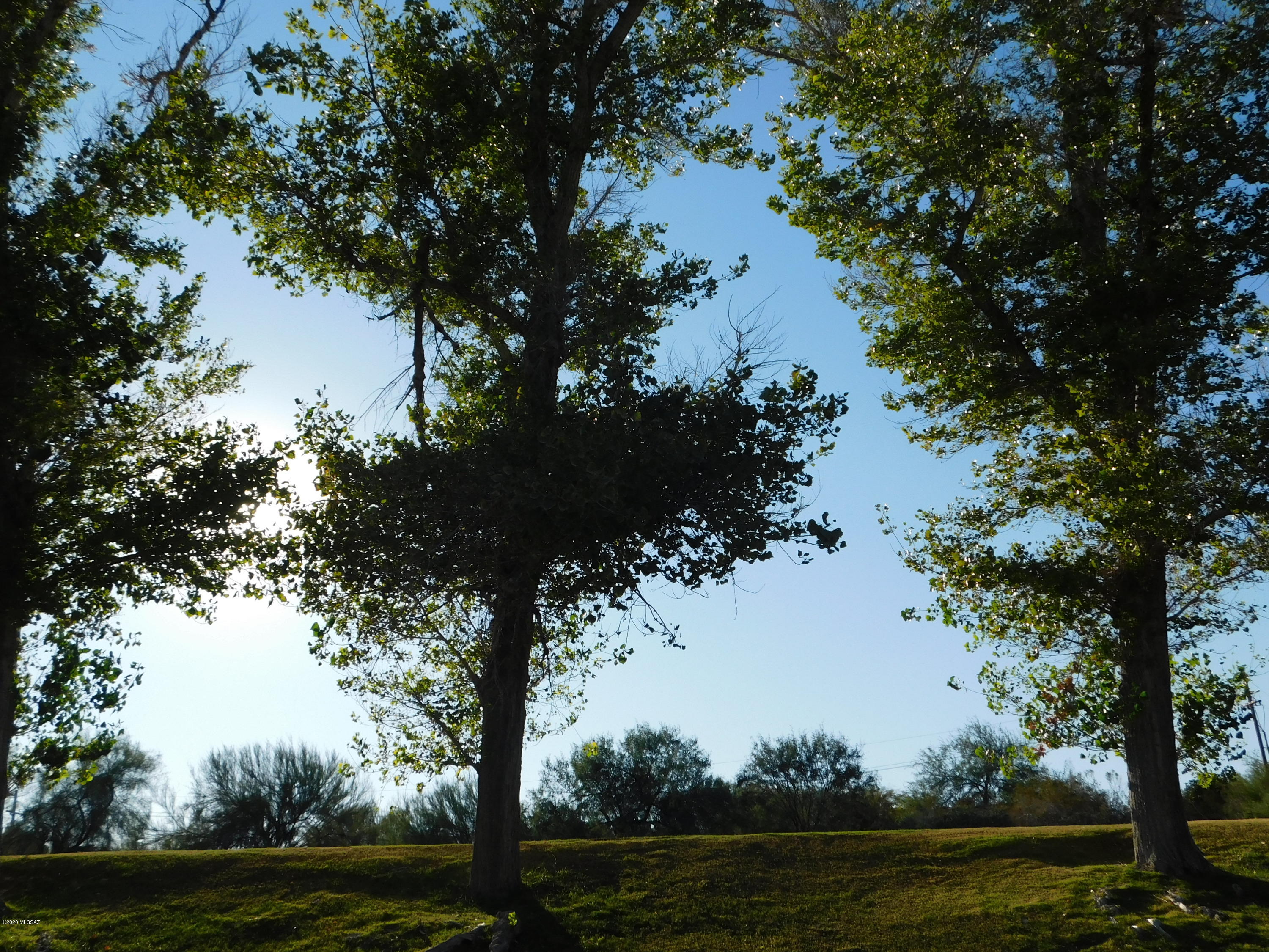 Greens at Ventana Canyon - Residential