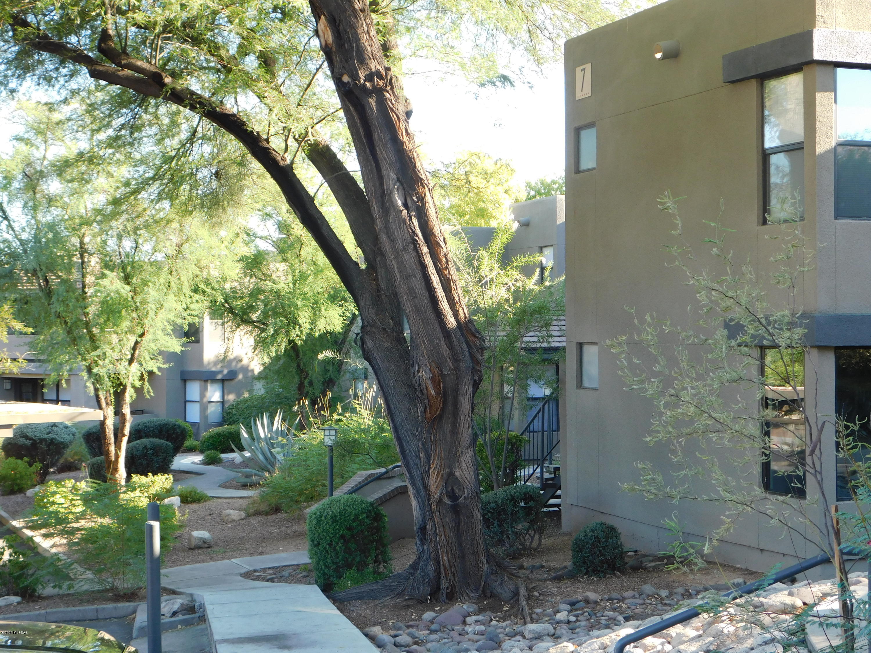 Greens at Ventana Canyon - Residential