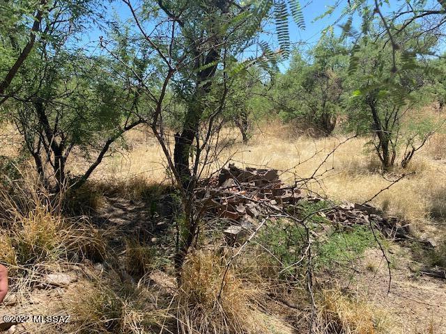 Residential lot in beautiful west Rio Rico. Water and electric are available to lot. Quick access to I-19 and the International Border.