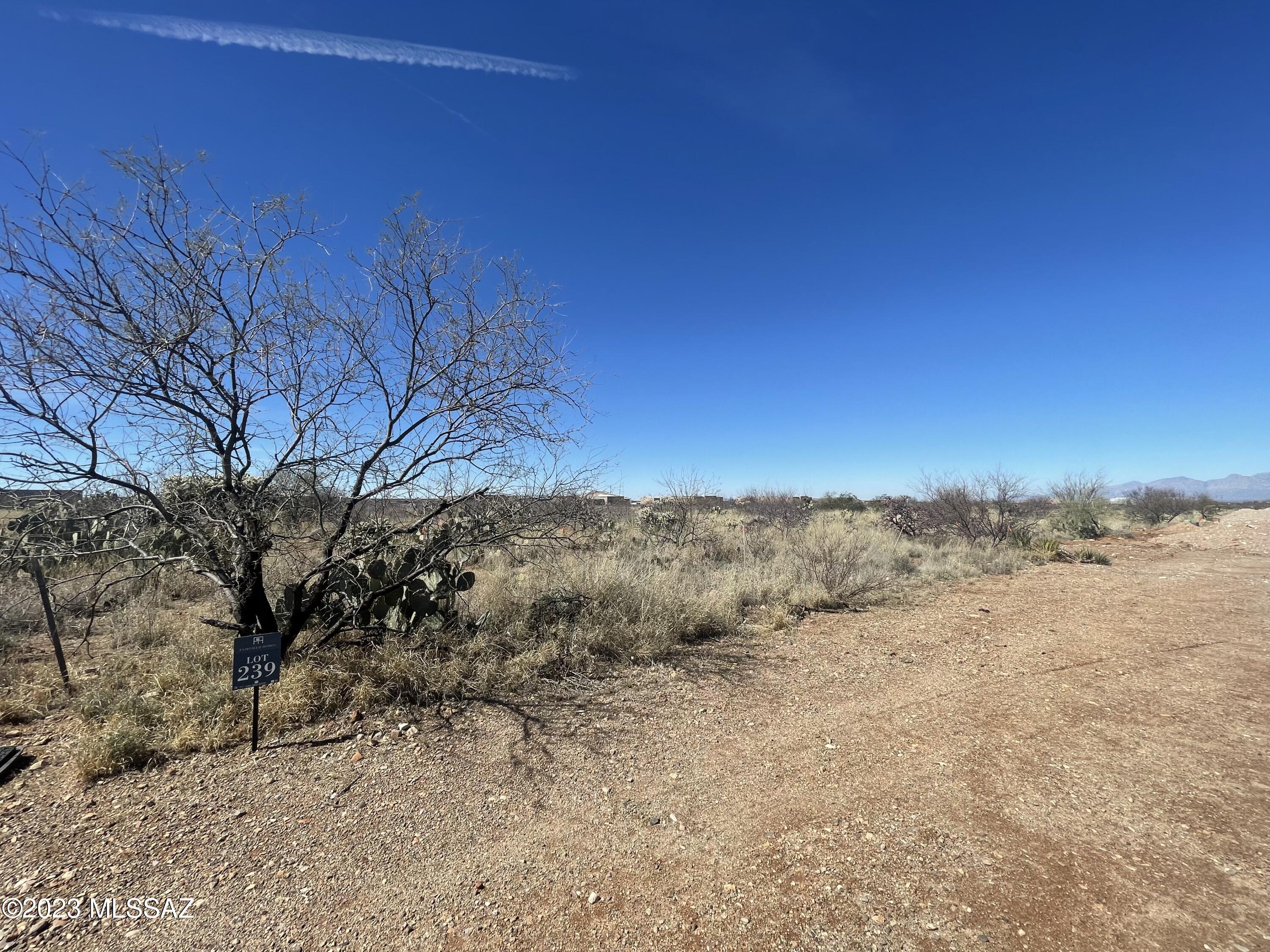 Mountain View Ranch (1-362) - Land