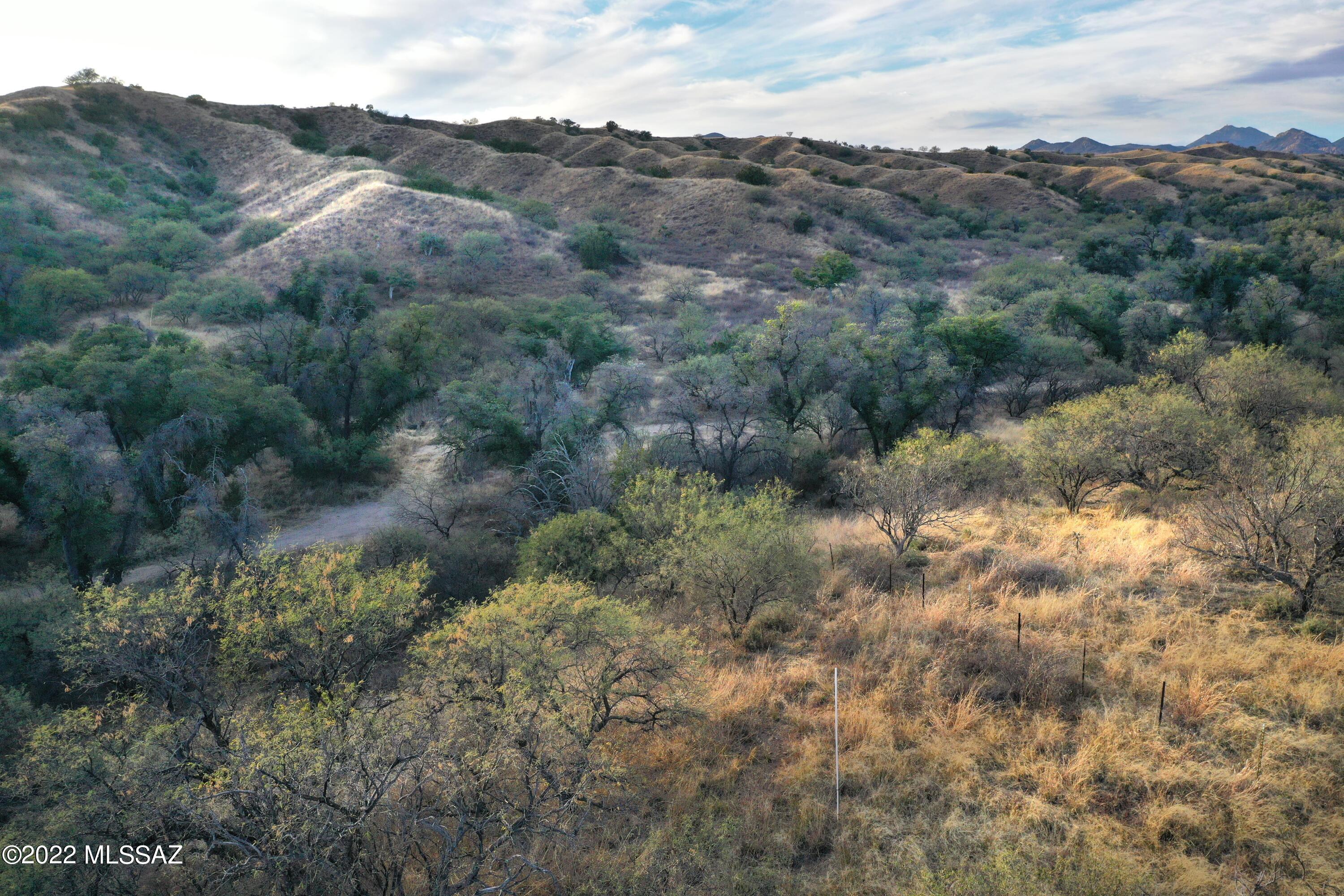 The Estates At Three Canyons - Land