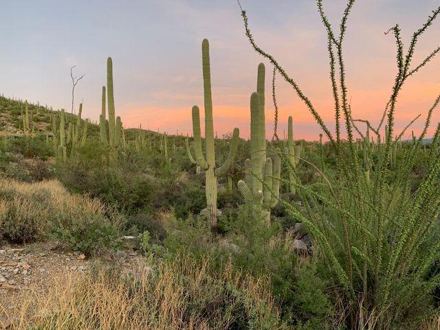 This RARE and AFFORDABLE , .98 acre 'End of the road' BEAUTY, provides PRIVACY and UNOBSTRUCTED VIEWS high above the Tanque Verd Valley in beautiful SABINO ESTATES. BUILD amidst PRISTINE DESERT and towering SAGUAROS, adjacent to Gibbon Springs Wash. Enjoy forever views of the CATALIN MTNS, GOLF COURSE, VALLEY LIGHTS and SURROUNDING RANGES. See the recently completed HDZ/Floodplain Analysis and the other documents attached to the listing. Note the maximum development envelope is 11,000 sq,ft with a building height restriction of 18'. Underground utilities including sewer service this site. This wonderful, close to everything community, features pool and fitness and the Arizona National Golf Course and Grill. Perfect for your winter escape, retirement or new family home.