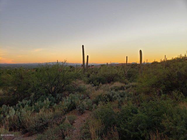 Sabino Estates (1-45) - Land