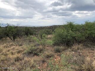 Rio Rico Ranchettes 7 - Land