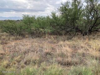 Rio Rico Ranchettes 7 - Land
