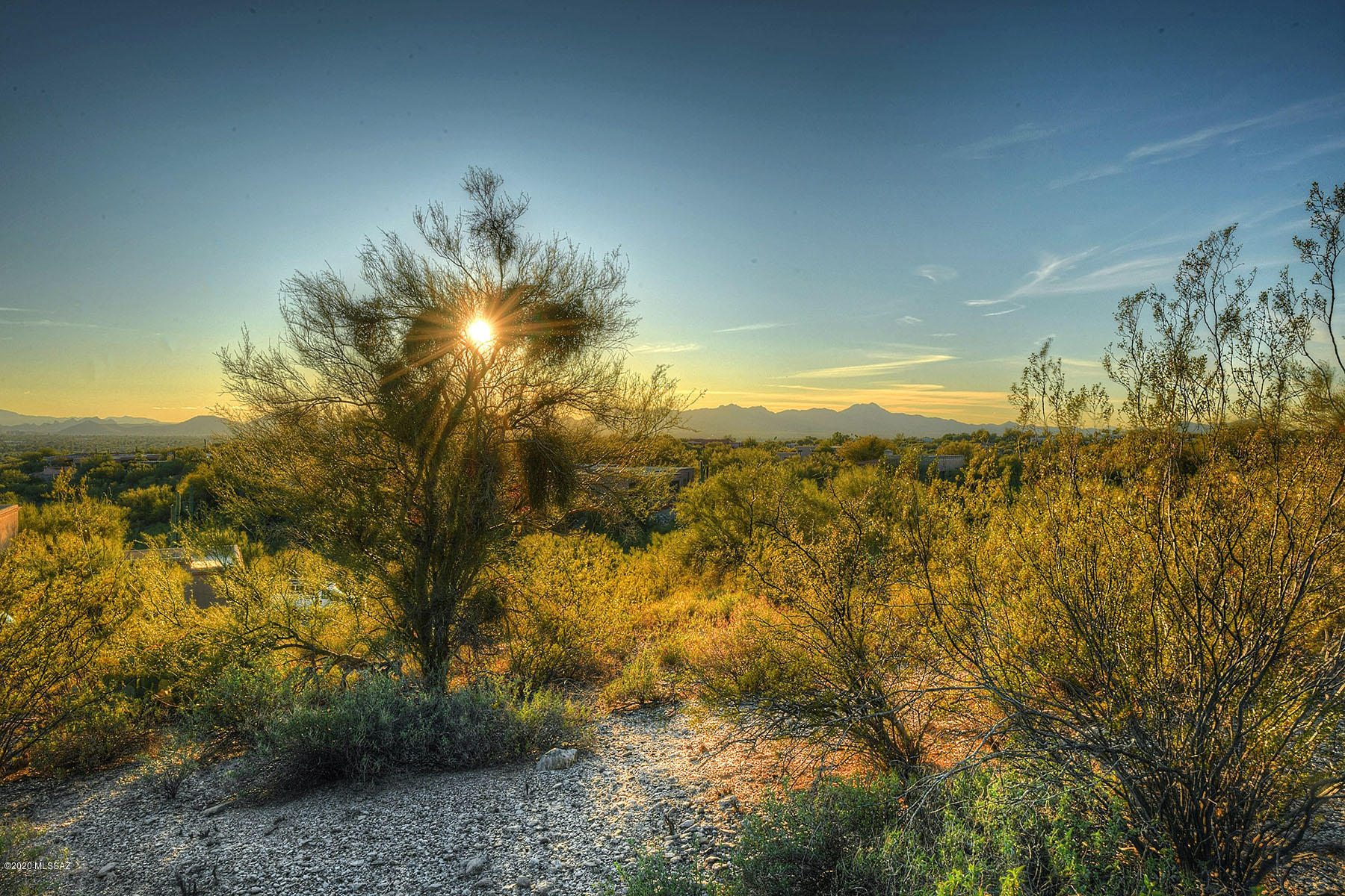Catalina Foothills Estates NO. 10 (91-118, 120, 122, 124-126,154-160) - Land
