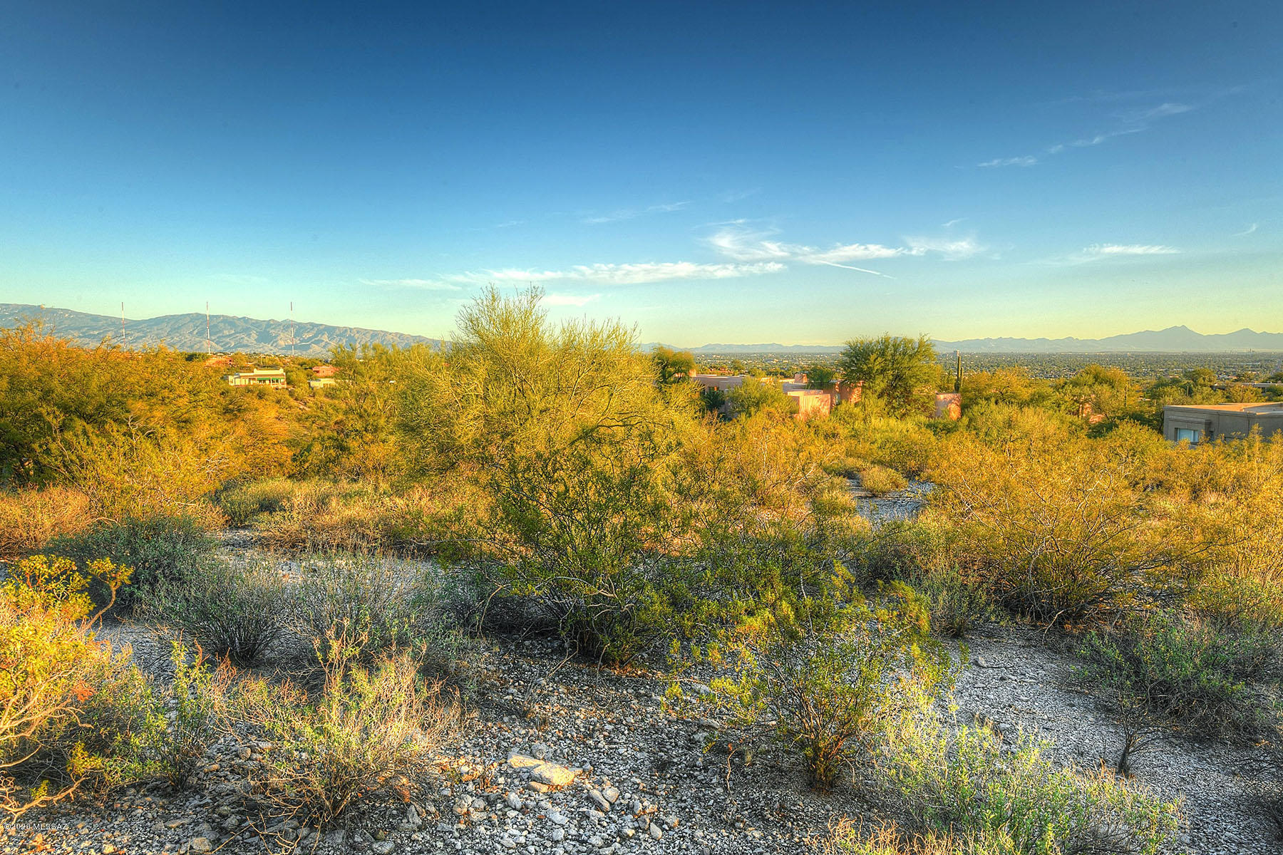 Catalina Foothills Estates NO. 10 (91-118, 120, 122, 124-126,154-160) - Land