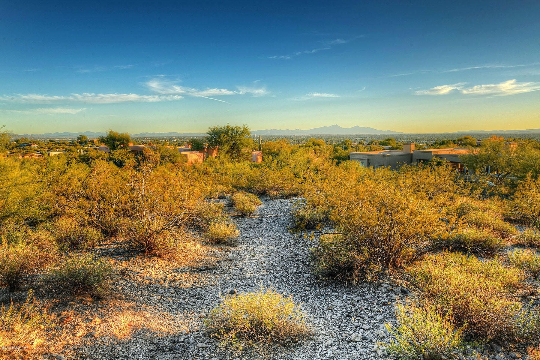Catalina Foothills Estates NO. 10 (91-118, 120, 122, 124-126,154-160) - Land