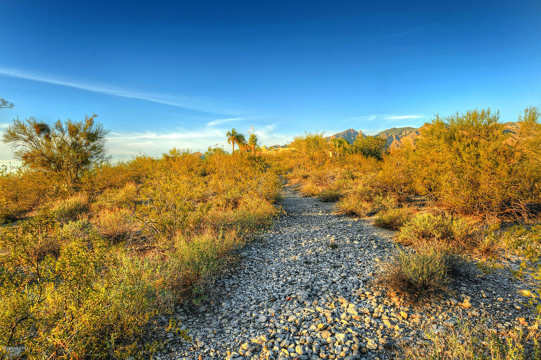 Catalina Foothills Estates NO. 10 (91-118, 120, 122, 124-126,154-160) - Land