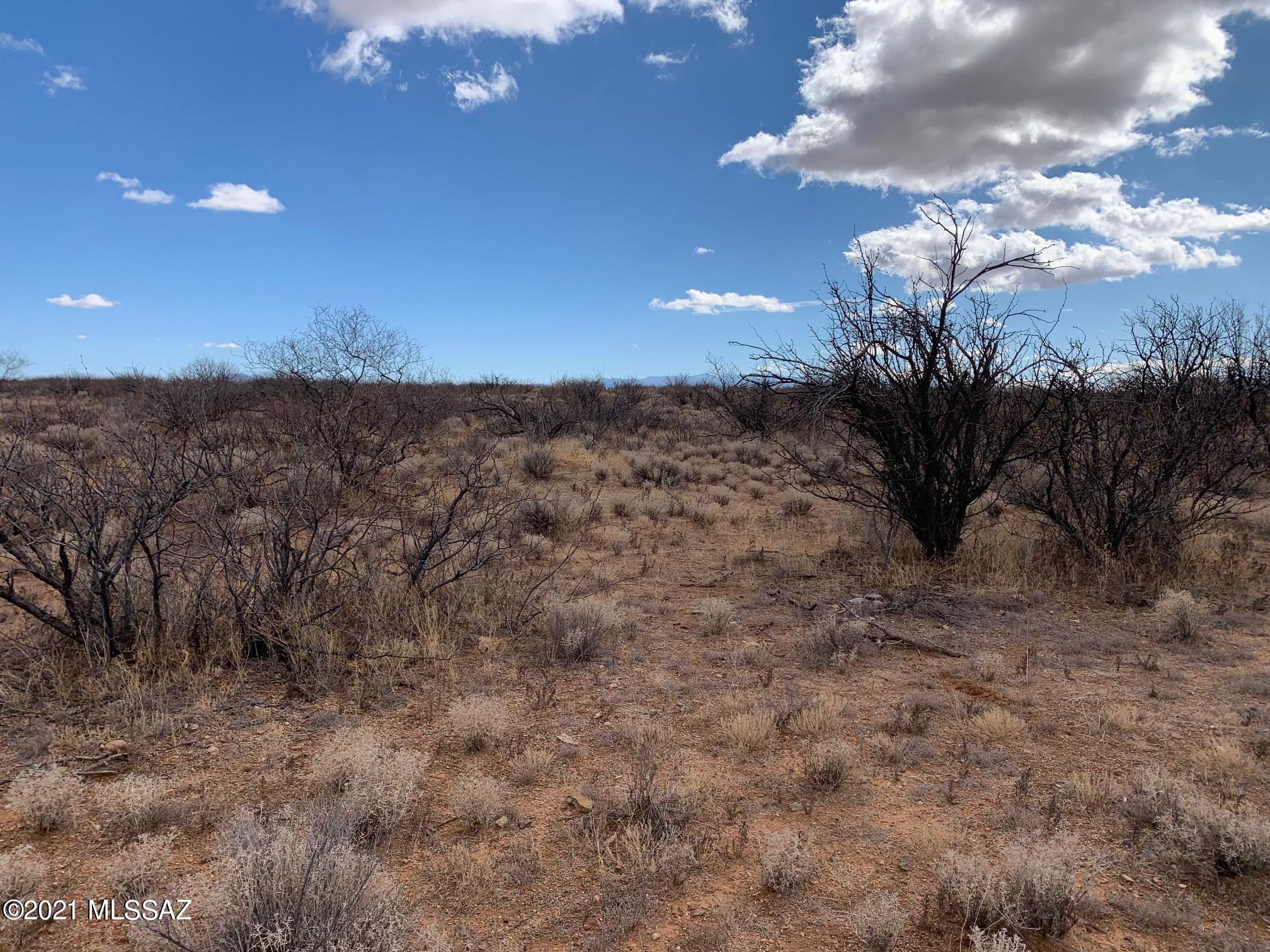 Chiracahua Trail Ranches - Land