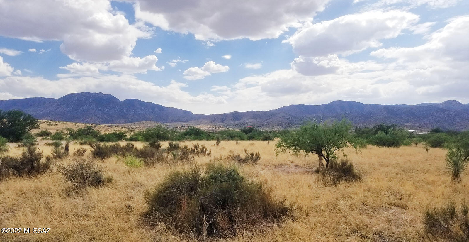 Three contiguous parcels comprising 15 acres, located in Sun Site Ranches near the southwestern corner of Sun Sites on the Eastern slope of the Dragoon Mountains. Featuring spectacular panoramic mountain views and desirable RU-4 zoning. Immediate access to both county-maintained Desert & Pearce Roads. Just a half mile to the Coronado National Forest line. Gorgeous & green in summer monsoon season. This offering is situated in a scenic pastoral nook bordering State land across Devon St. to the south. Borders a seasonal creek/wash and features rolling hills. Abundant wildlife and exceptional natural beauty abound on this special parcel. Bring your horses or toys and enjoy the cool open air while you develop your Southern Arizona country dream project. **Lots may also be sold individually. Listing includes three (3) parcels, Cochise APNs: 122-07-025, 122-07-047 & 122-07-048.  Owner will consider selling the 5-acre parcels individually or paired.