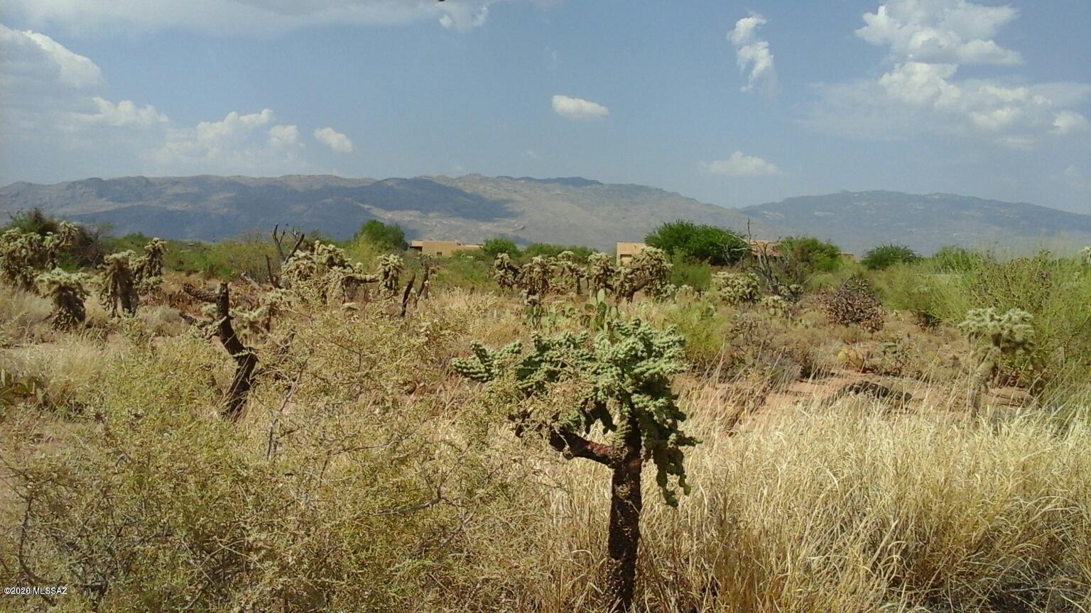 This pristine parcel of lush and verdant  Sonoran Desert is perfect for your dream home or homes. This property is perfect for 5 custom homes and would be the perfect project for a custom home builder. Parcel has been surveyed into 5 lots of 1+ acres each. An easement  has been included along the east side of all lots.This property is perfect for 5 custom homes and would be the perfect project for a custom home builder.  Parcel includes a capped well. Copy of survey is available upon request.