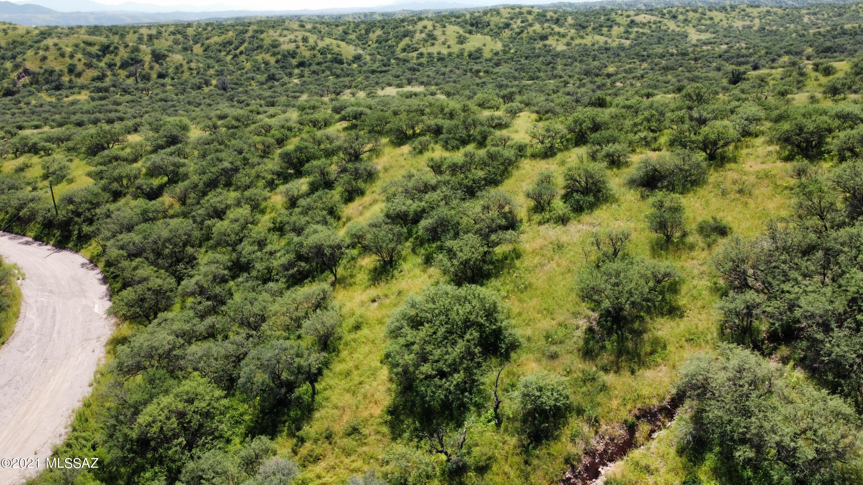 Rio Rico Ranchettes - Land