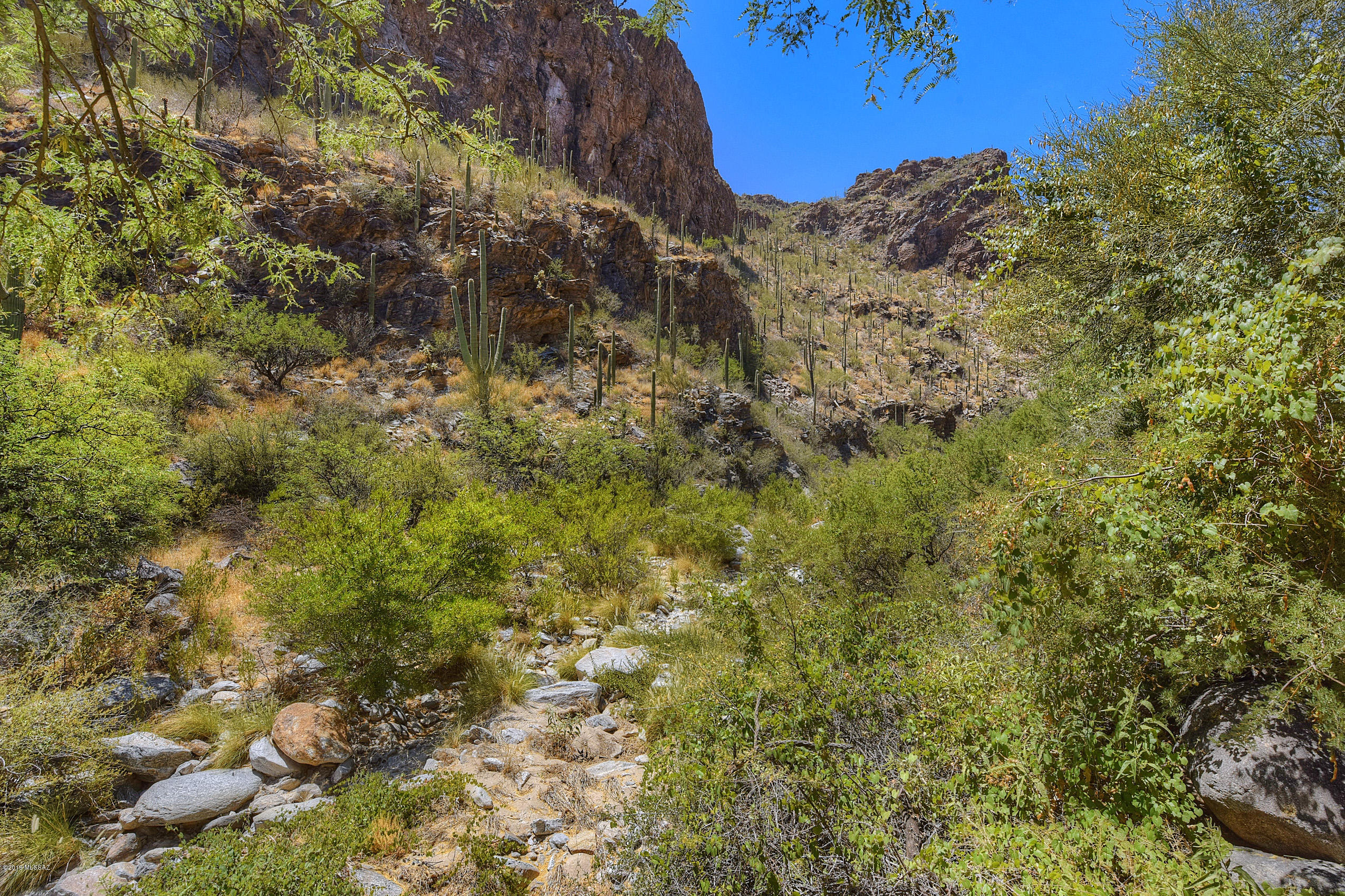 Irregular shaped 3.6 acre lot surrounding adjacent parcel MLS# 21917740 which sits on 3.96 acres.  Both properties sold together for $1,100,000.00 to amass a total of 7.42 acres with a 1904 square foot architecturally built custom home. call agent with questions.