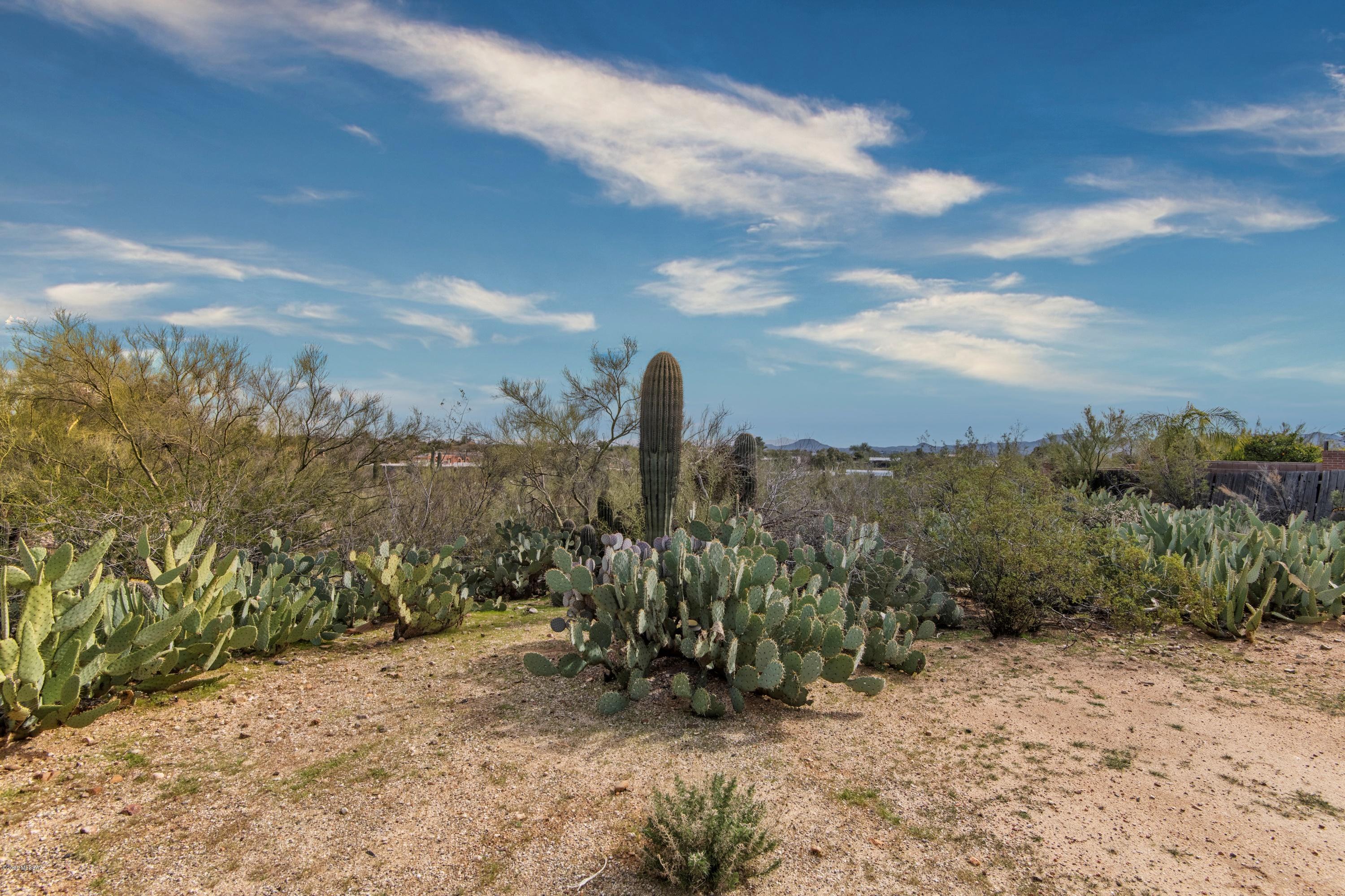 Casas Adobes Estates (650-760) - Residential