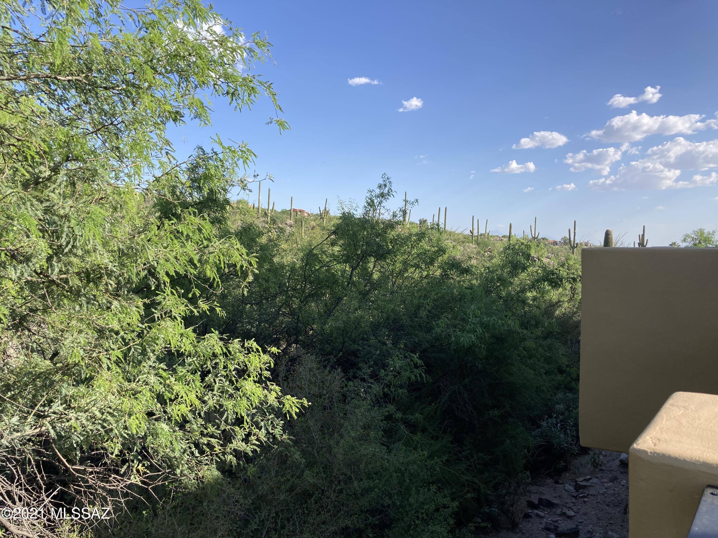 Villa Milano at Rancho Sin Vacas (1-74) - Land