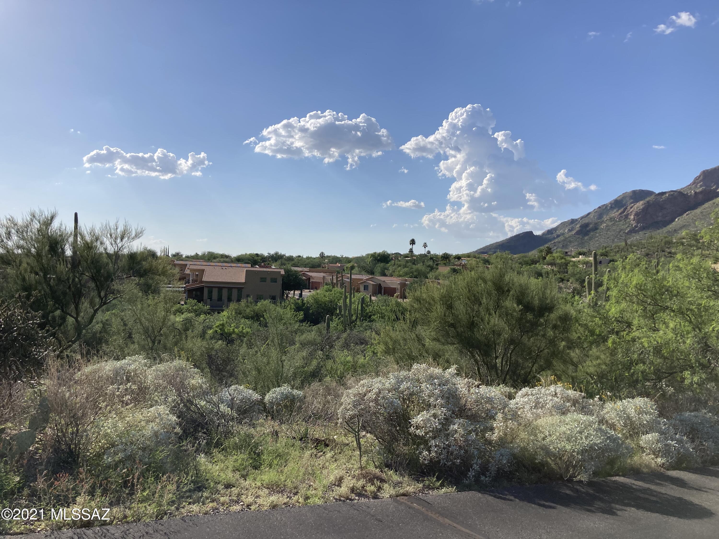 Villa Milano at Rancho Sin Vacas (1-74) - Land