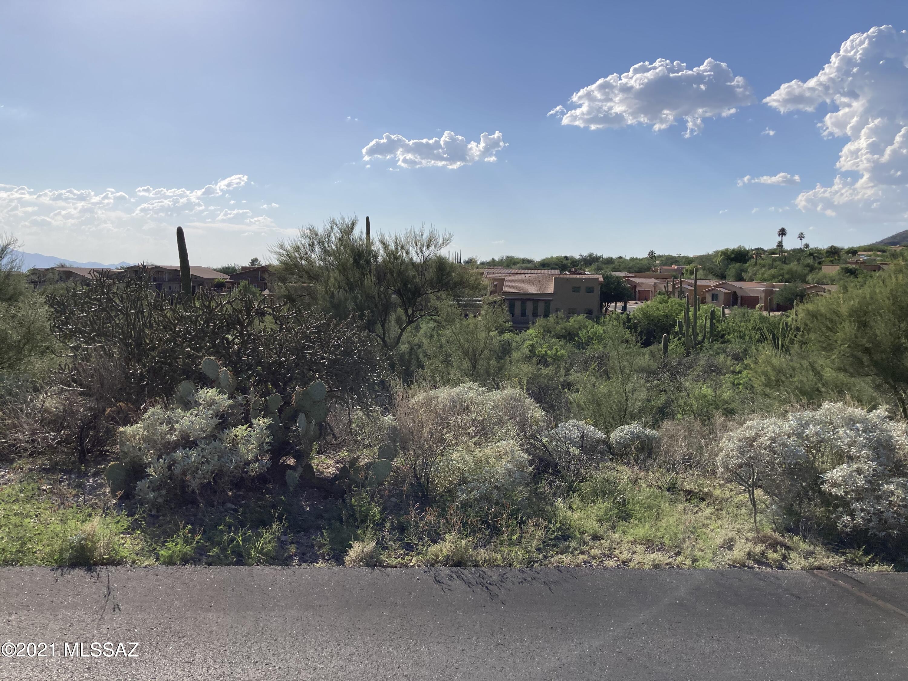 Villa Milano at Rancho Sin Vacas (1-74) - Land