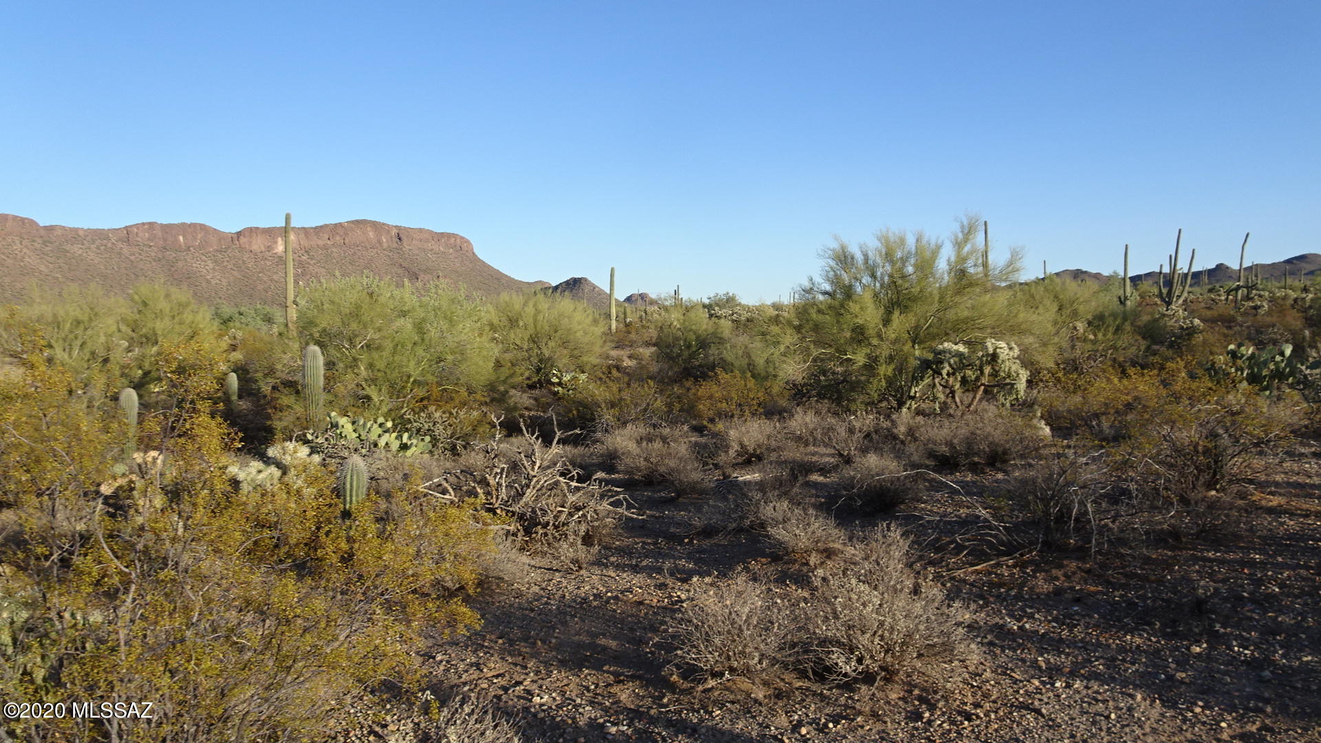 Absolutely pristine 4+ acre homesite with abundant Sonoran Desert flora. Expansive views in all directions just outside Saguaro National Park. No Homeowners Association. East drive to major shopping and I-10 access. Builder services available. Trico Electric and Avra Water available. A rare opportunity. Three additional 4 acre parcels and a 23+ acre parcel available. Rural Homestead zoning. There is no official address, 6700 N Tula is approximate.