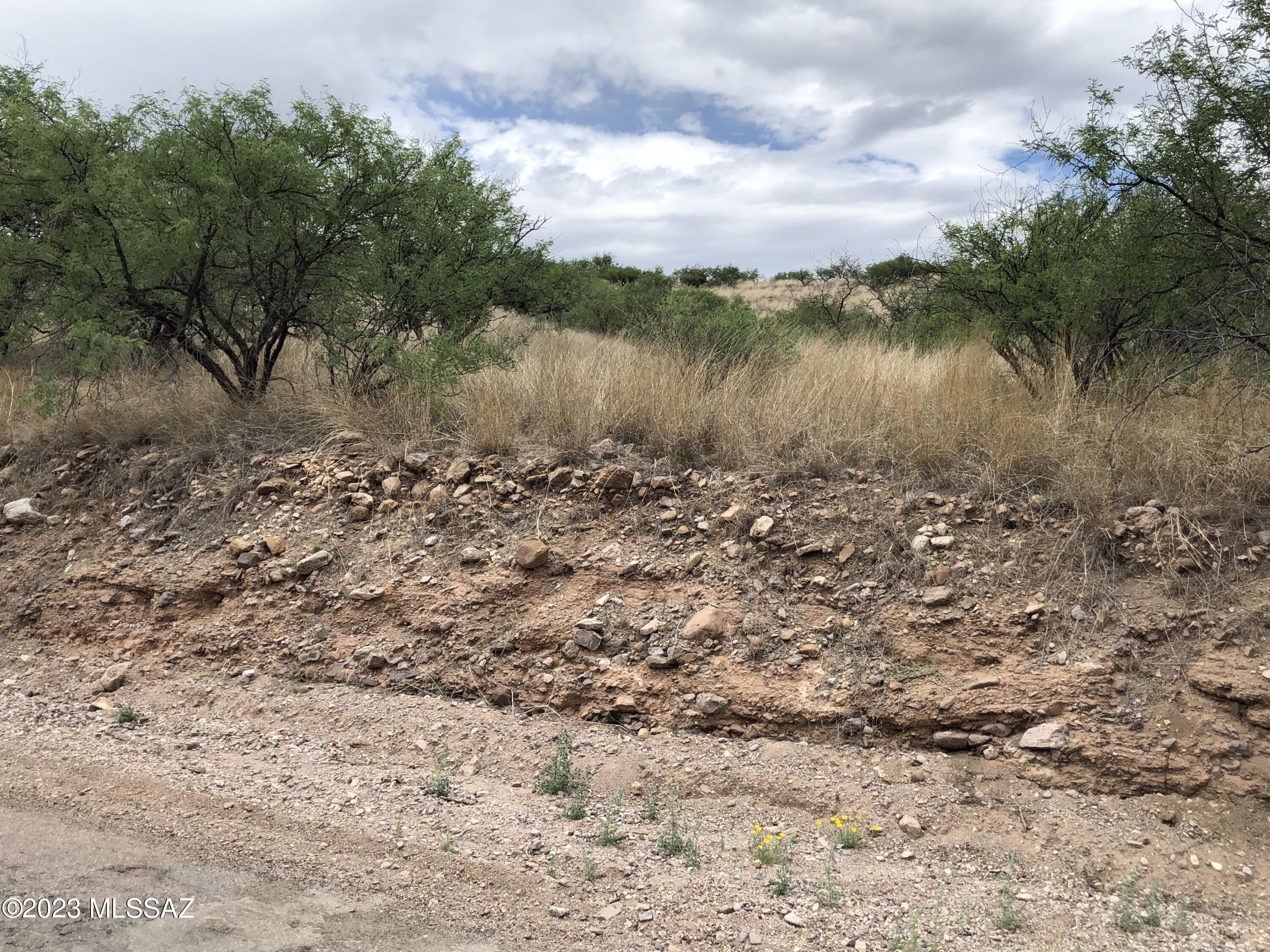 Rio Rico Ranchettes 5 - Land