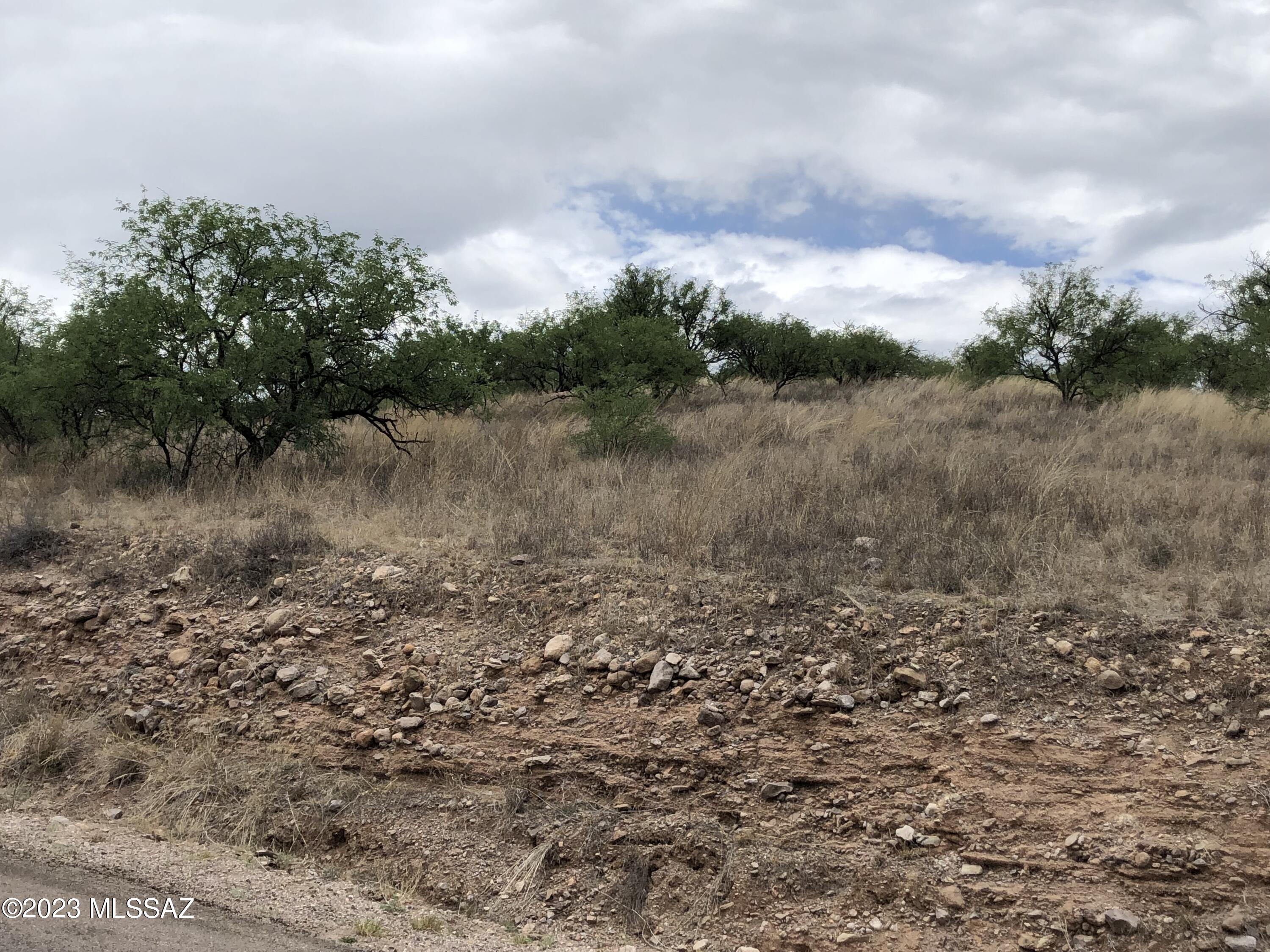 Rio Rico Ranchettes 5 - Land