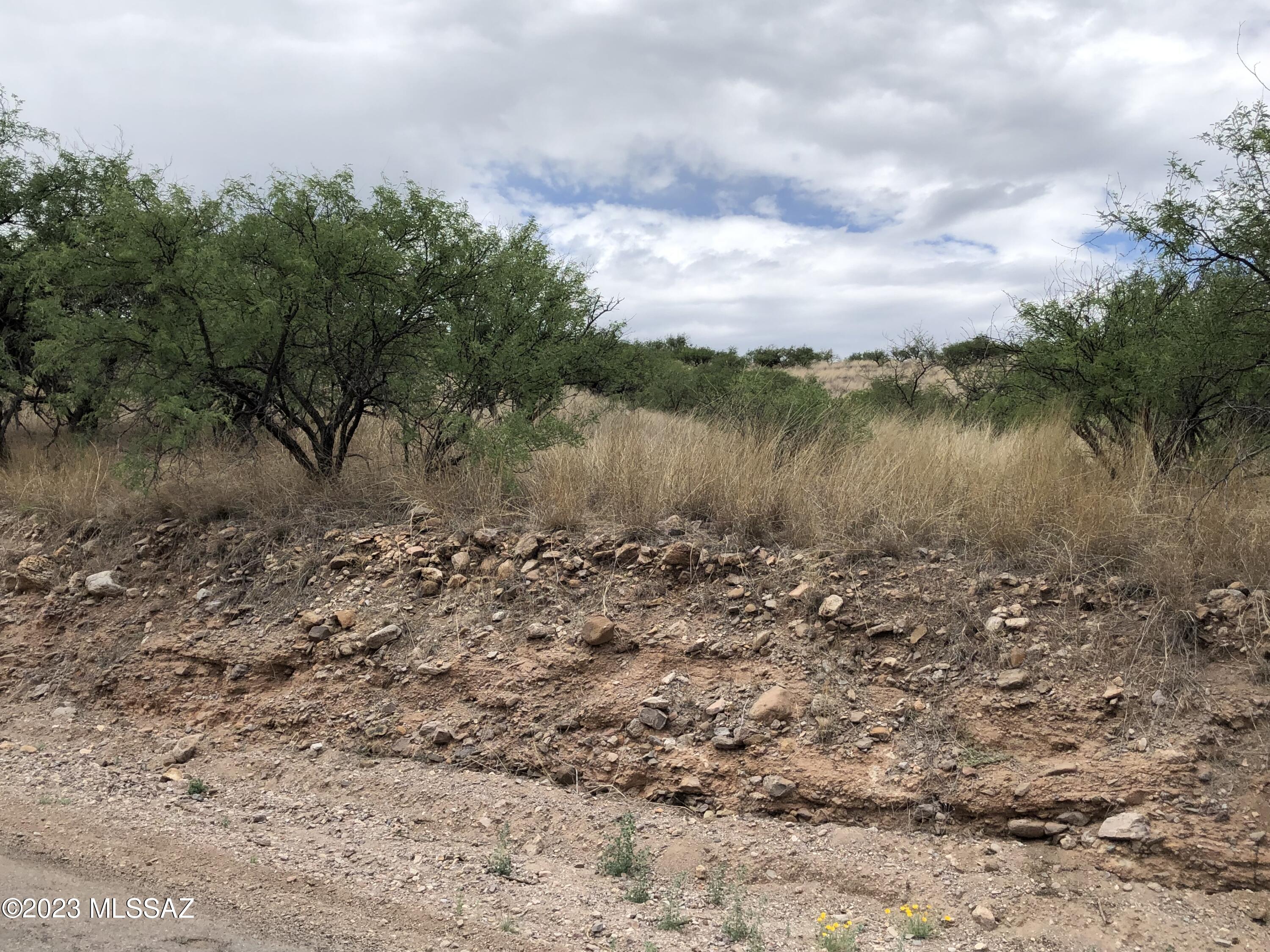 Rio Rico Ranchettes 5 - Land