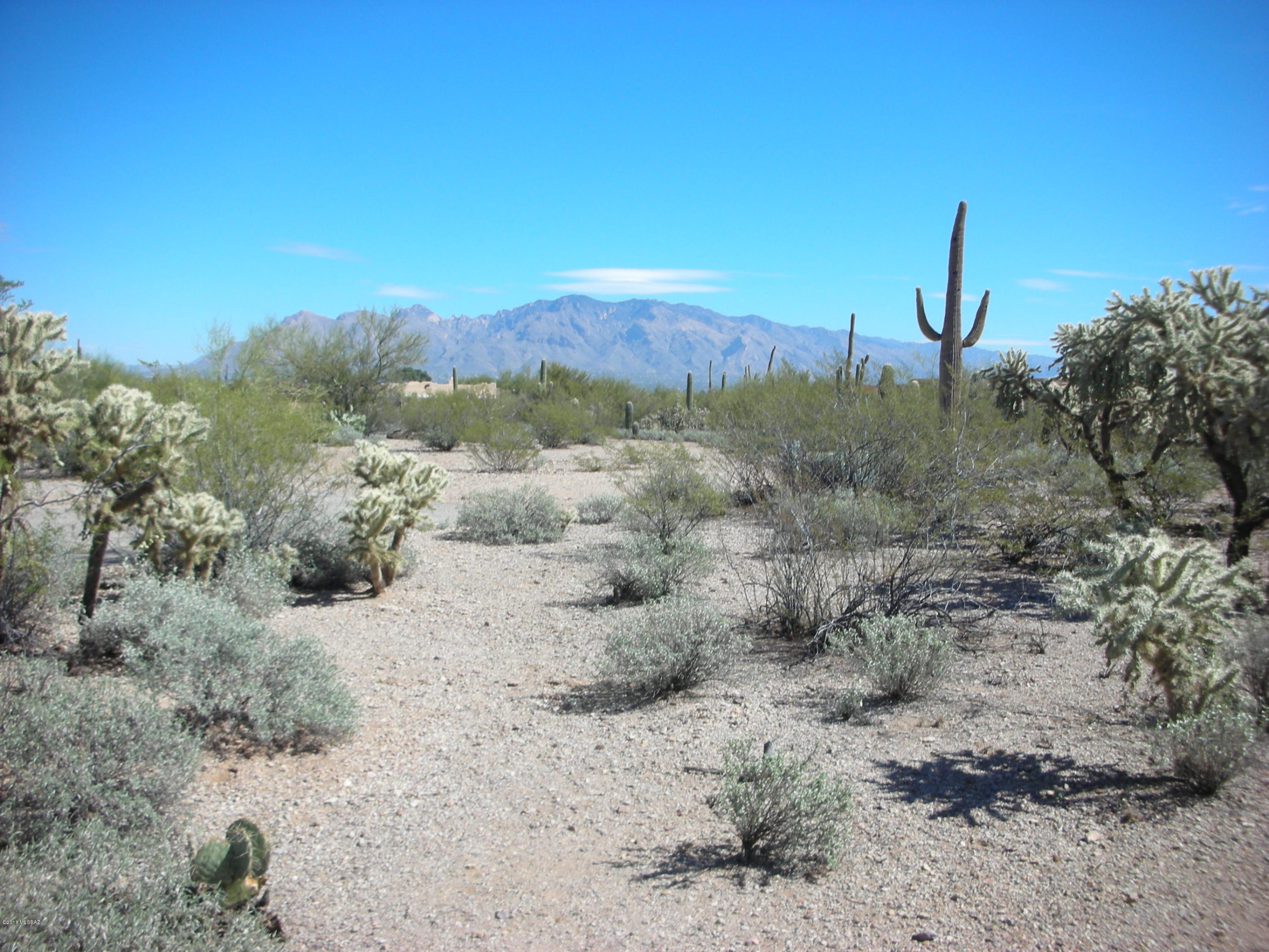 Affordable, flat acre in Tucson Mountain area near Goret/Lloyd Bush. Lovely backyard mountain views of the Catalinas. End of cul-de-sac privacy and surrounded by newer custom homes. Large lot w/ lots of usable area in a quiet convenient location with easy access to I-10, downtown, U of A, St. Mary's or Pima College. Great opportunity at only $109,000. Neighboring lot also available for your builder clients.