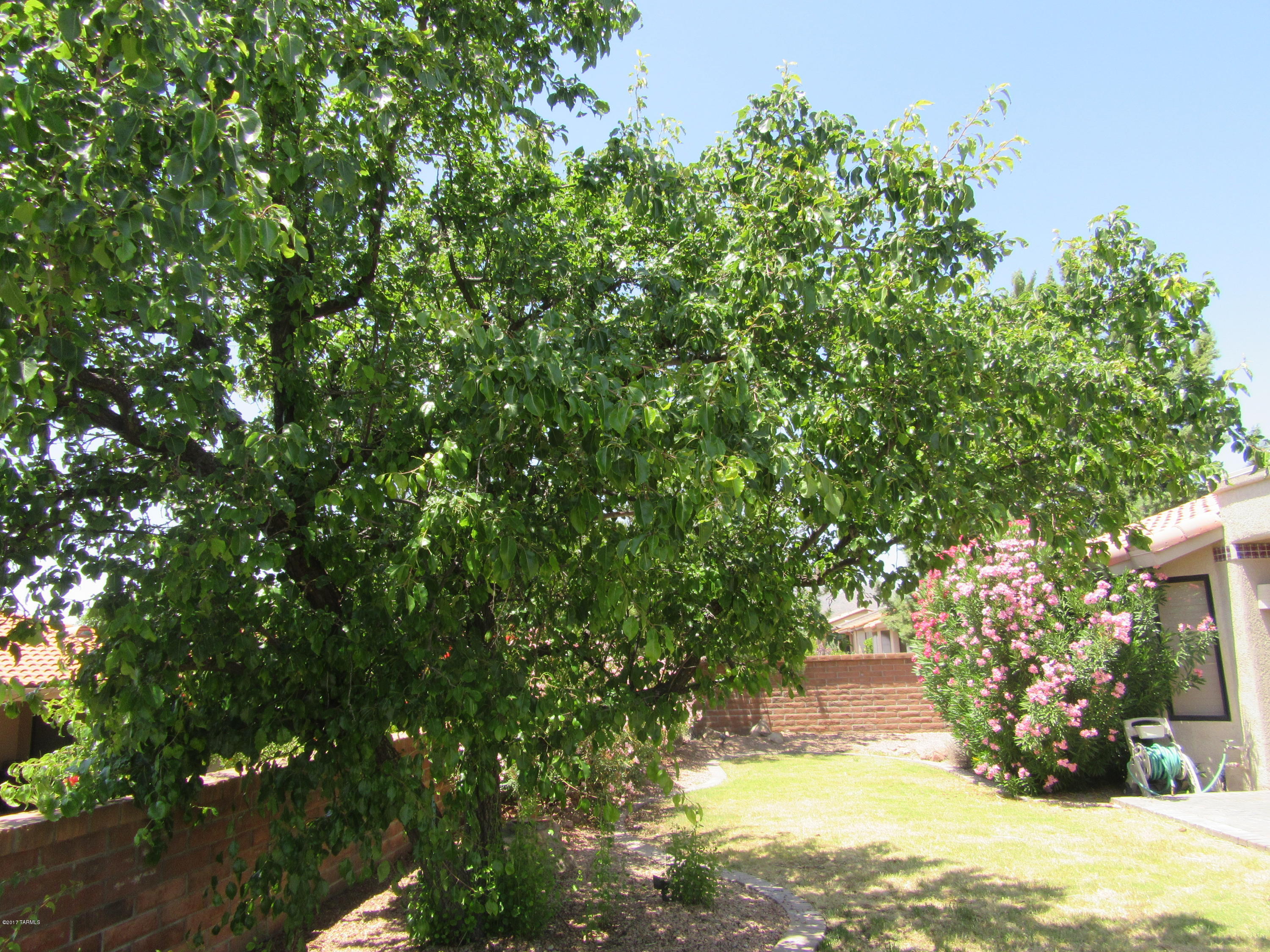 Sun City Vistoso Unit 5(1-288) - Residential