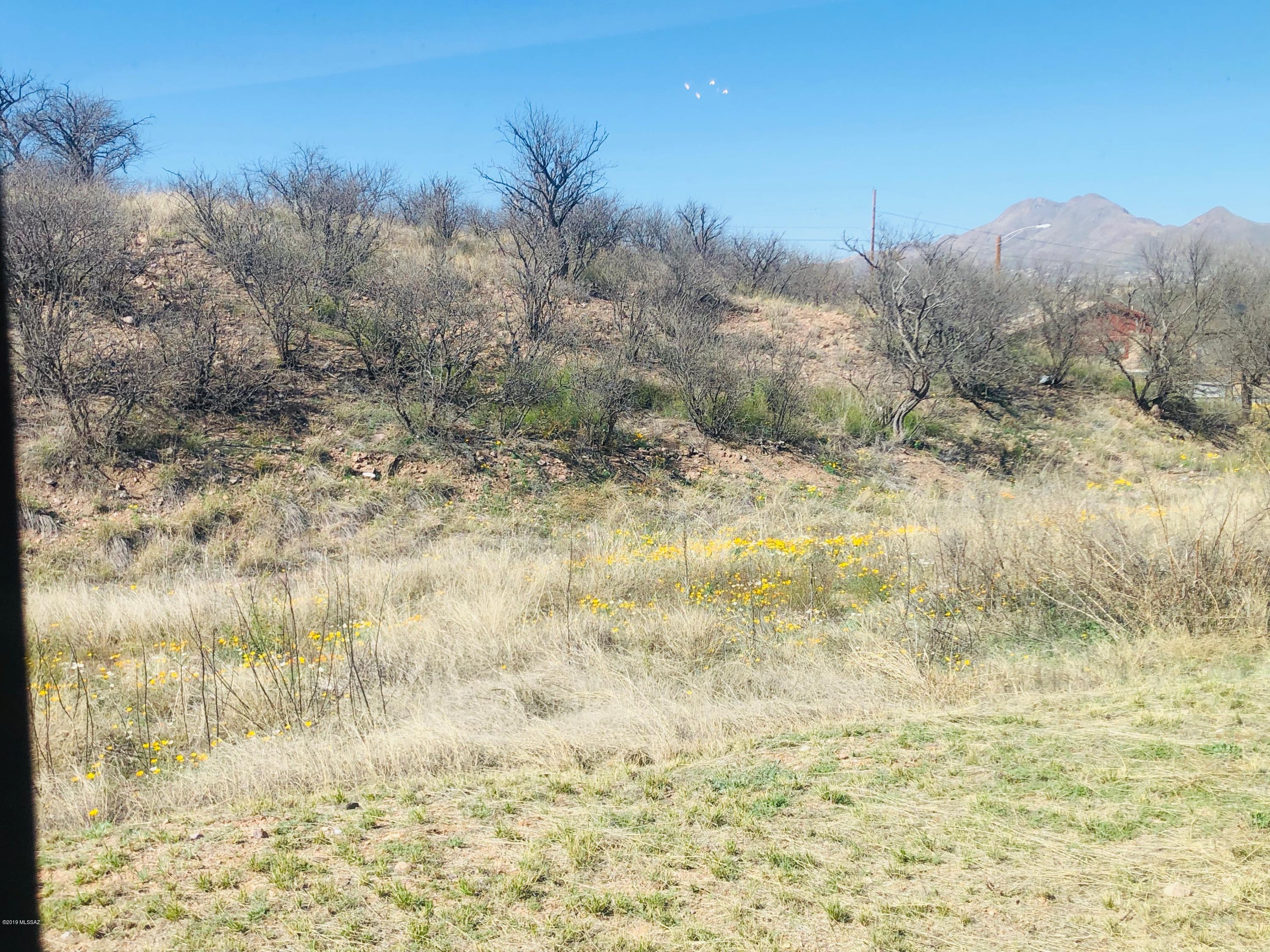Rio Rico Estates 13 - Residential