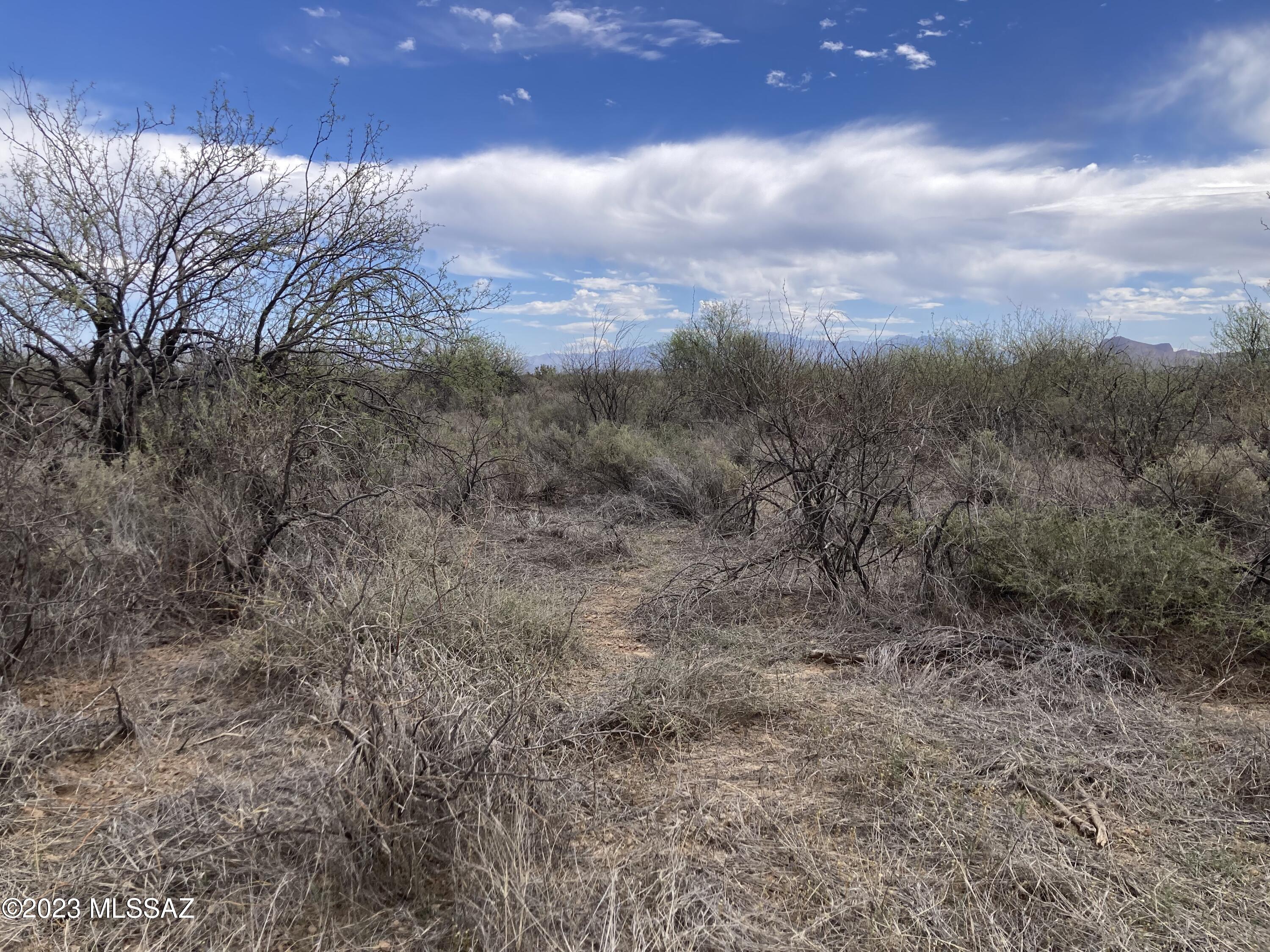 5 acres in rural area - Marana Schools - Manufactured Homes welcome - Natural setting - lots of privacy