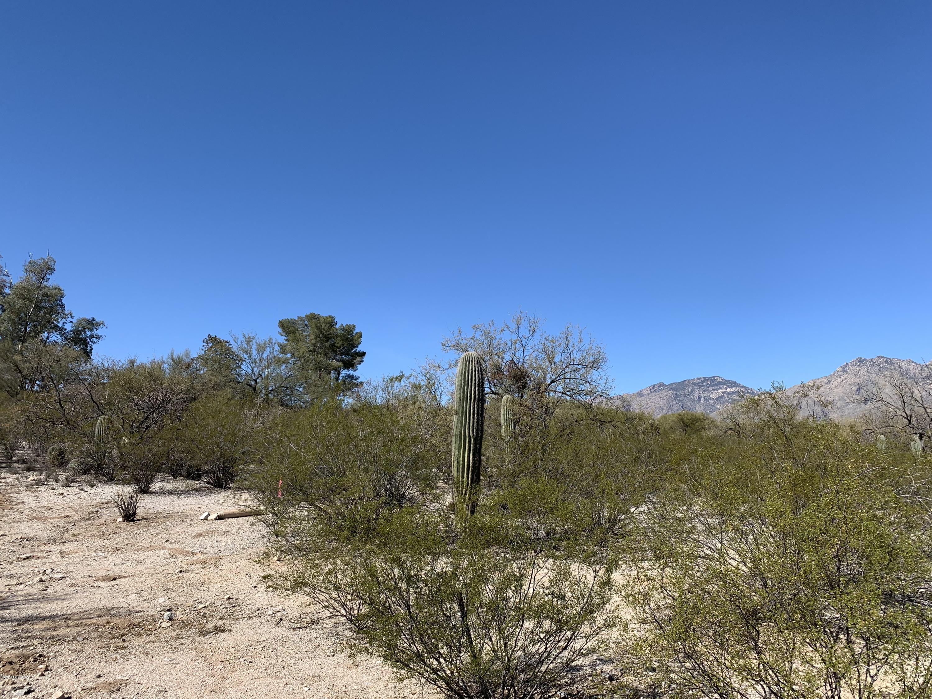Lush Sonoran Desert lot with fantastic mountain views. Small4 lot subdivision, sewer runs along property line, Easy to build on. Private and quiet. Set way back from Bear Canyon