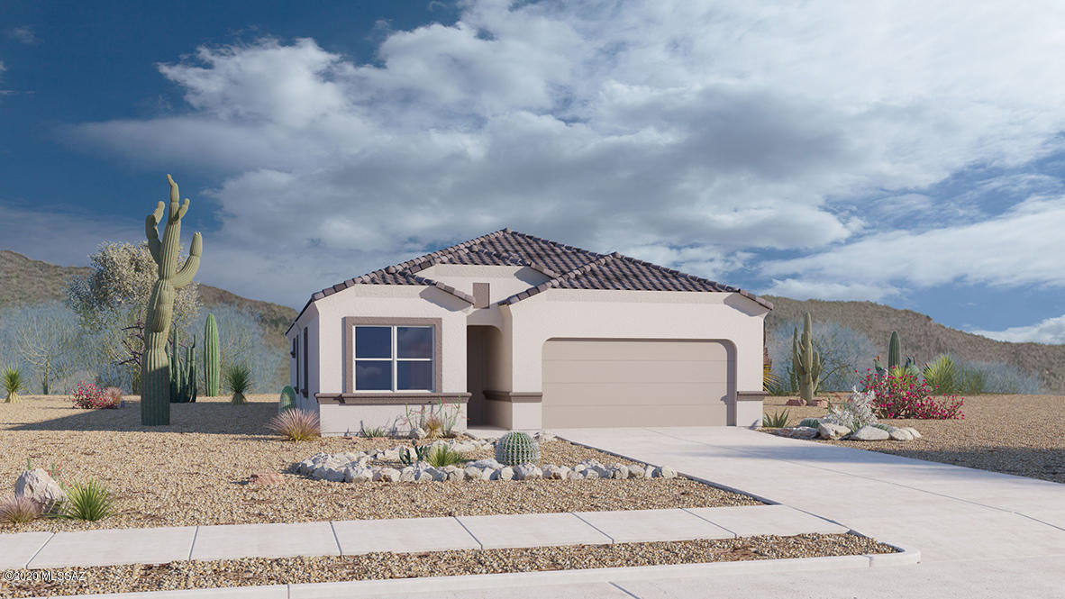 Saguaro Bloom SQ20180540069 - Residential