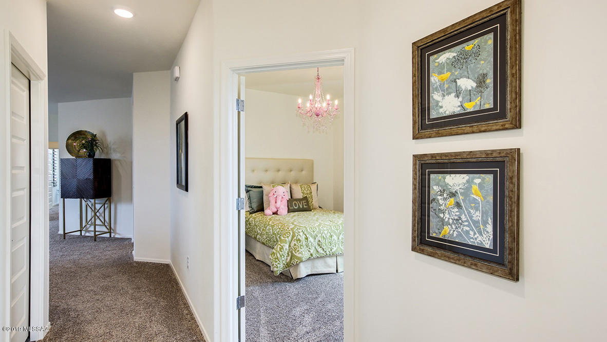 Saguaro Bloom SQ20180540069 - Residential