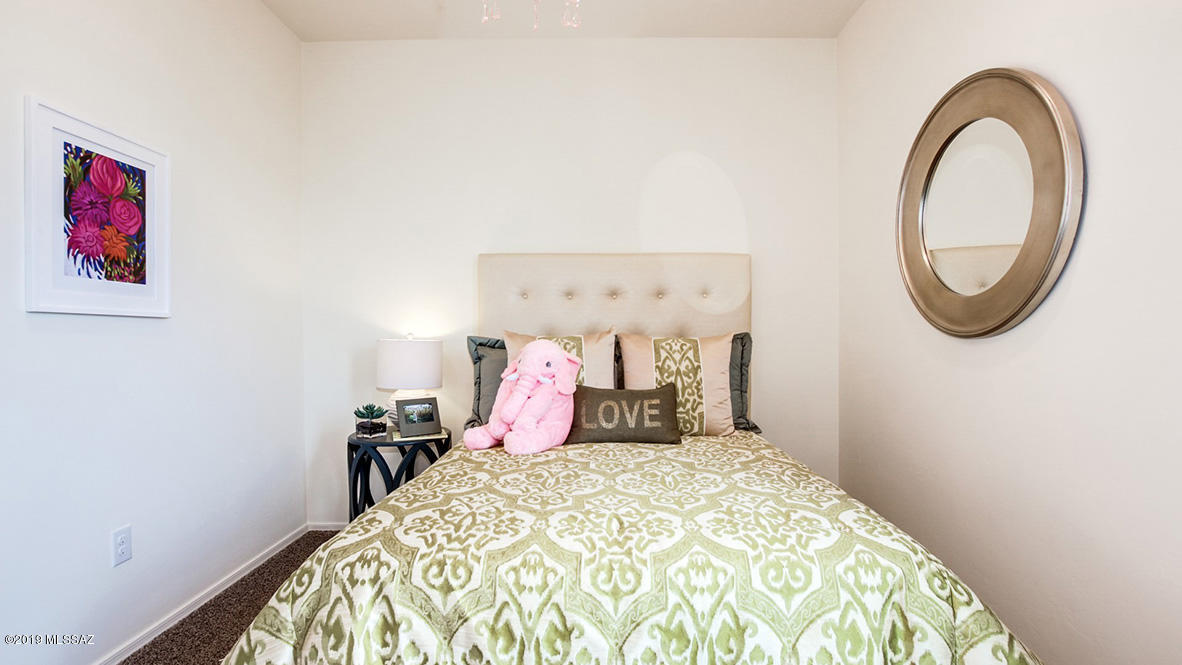 Saguaro Bloom SQ20180540069 - Residential