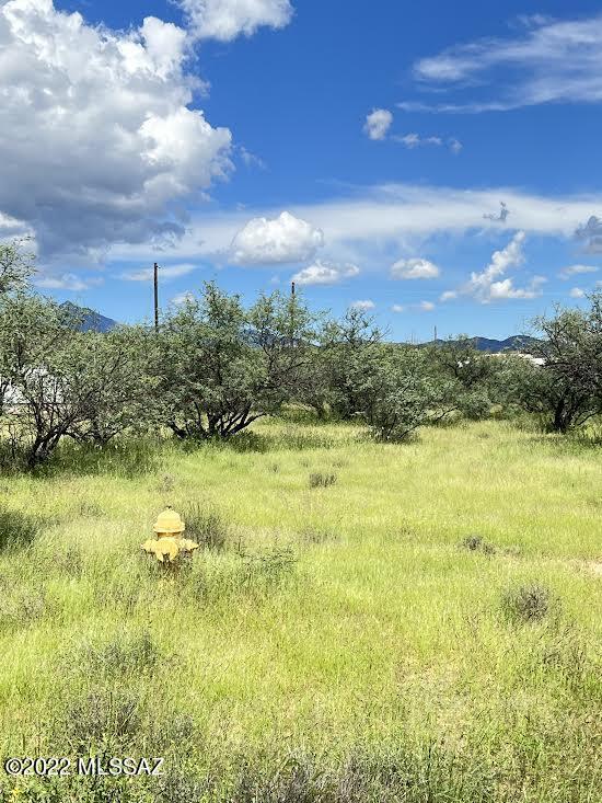 Rio Rico Villas 12 - Land