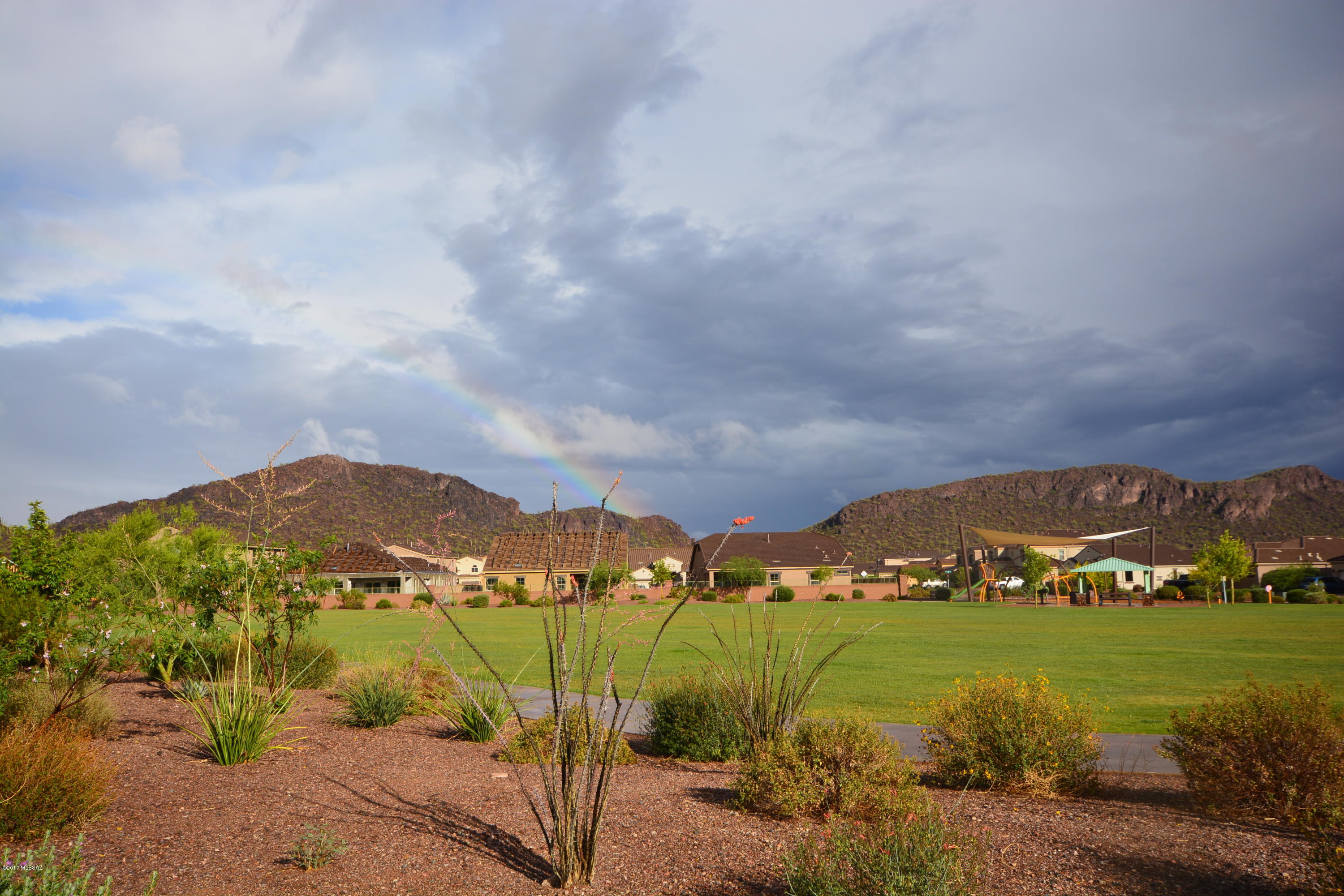 Saguaro Springs Block 8B (131-399) - Residential