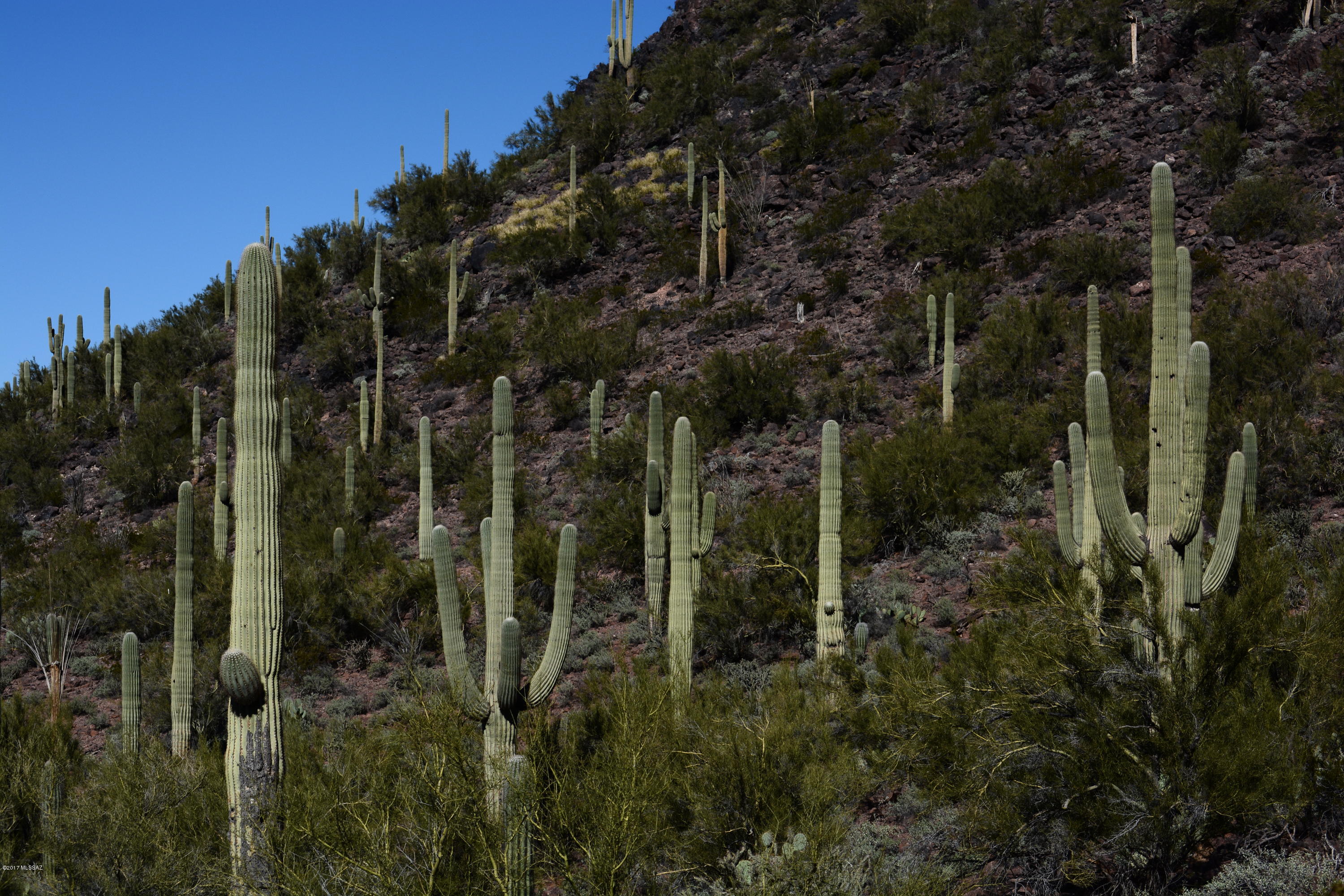 Saguaro Springs Block 8B (131-399) - Residential