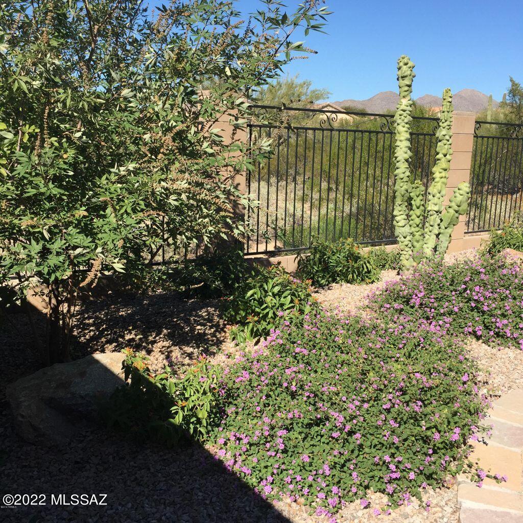 Preserve IV at Dove Mountain (487-529, 535-576, 606-650) - Residential