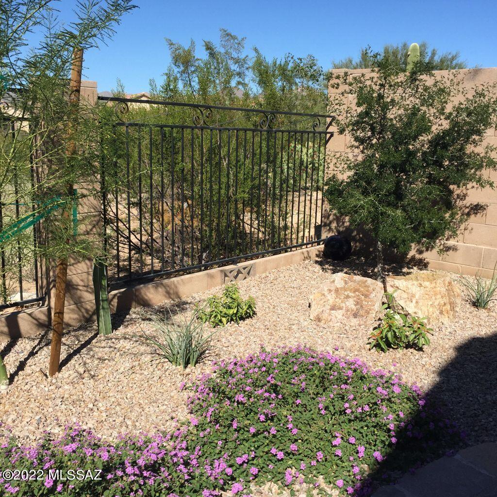 Preserve IV at Dove Mountain (487-529, 535-576, 606-650) - Residential