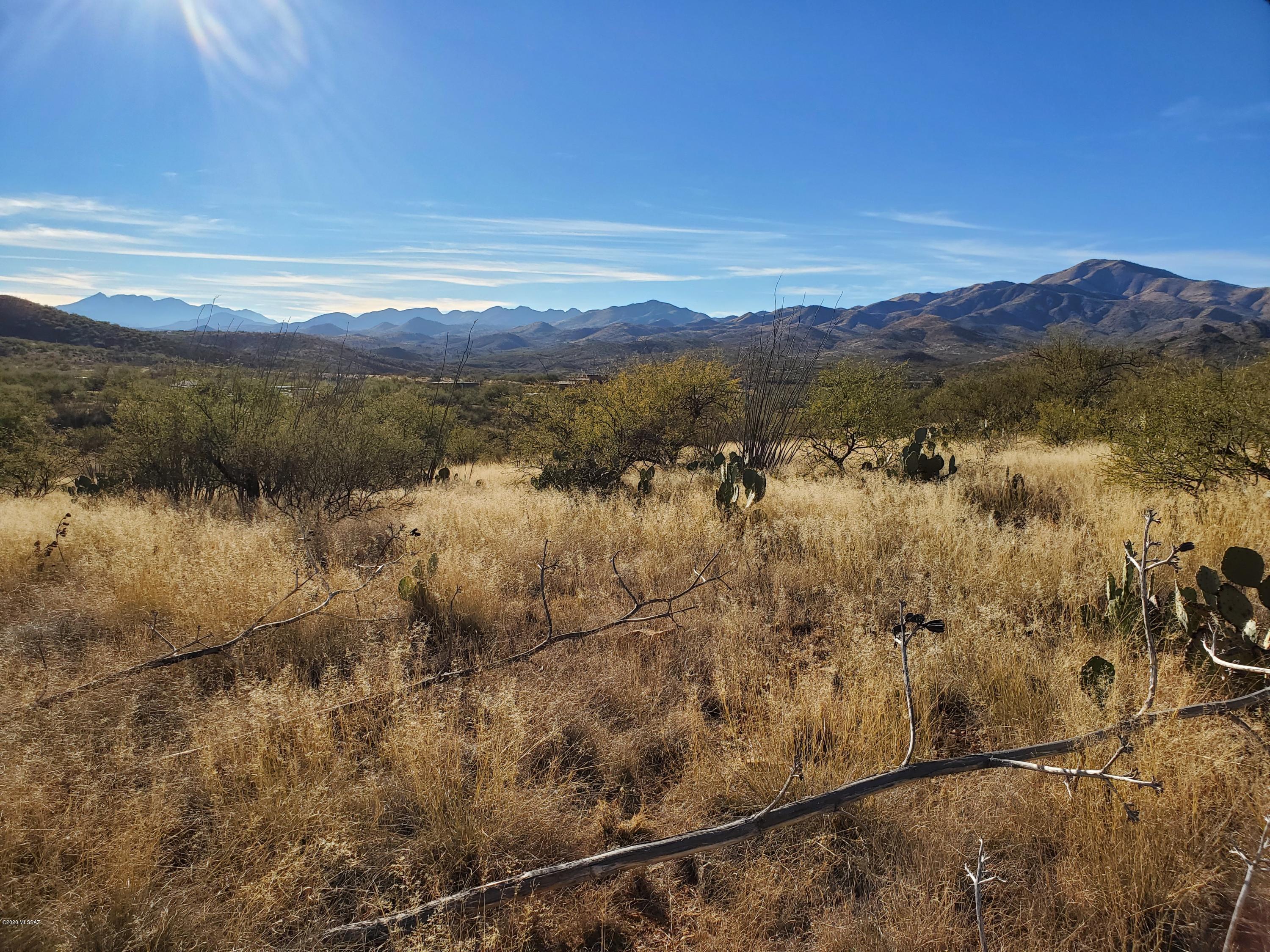 Beautiful lot in the Empire Mountain Foothills! Almost 10 acres of vacant land with electric and phone at the lot. Excellent horse property potential. Varying topography with great flat build sites. Owner will carry!