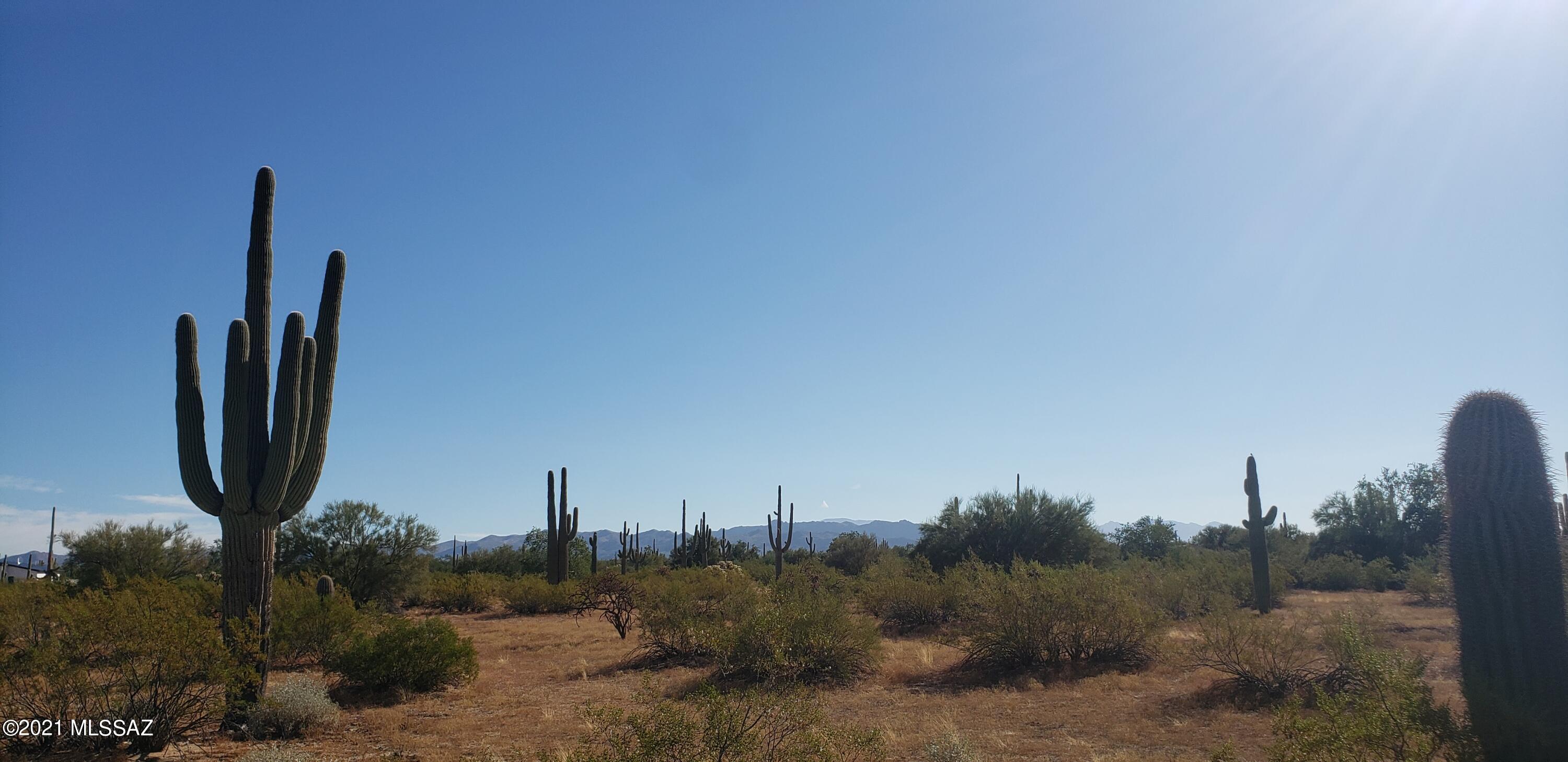 10 acres of Saguaros, Palo Verde trees and Mesquite trees throughout property. Full of natural desert vegetation. Amazing mountain & sunset views. Investment potential at this price. Easy access from pavement, within 15 minutes of the rapidly growing Marana Exit at Interstate 10. No water or power on property, vacant land. Owner carry financing available.