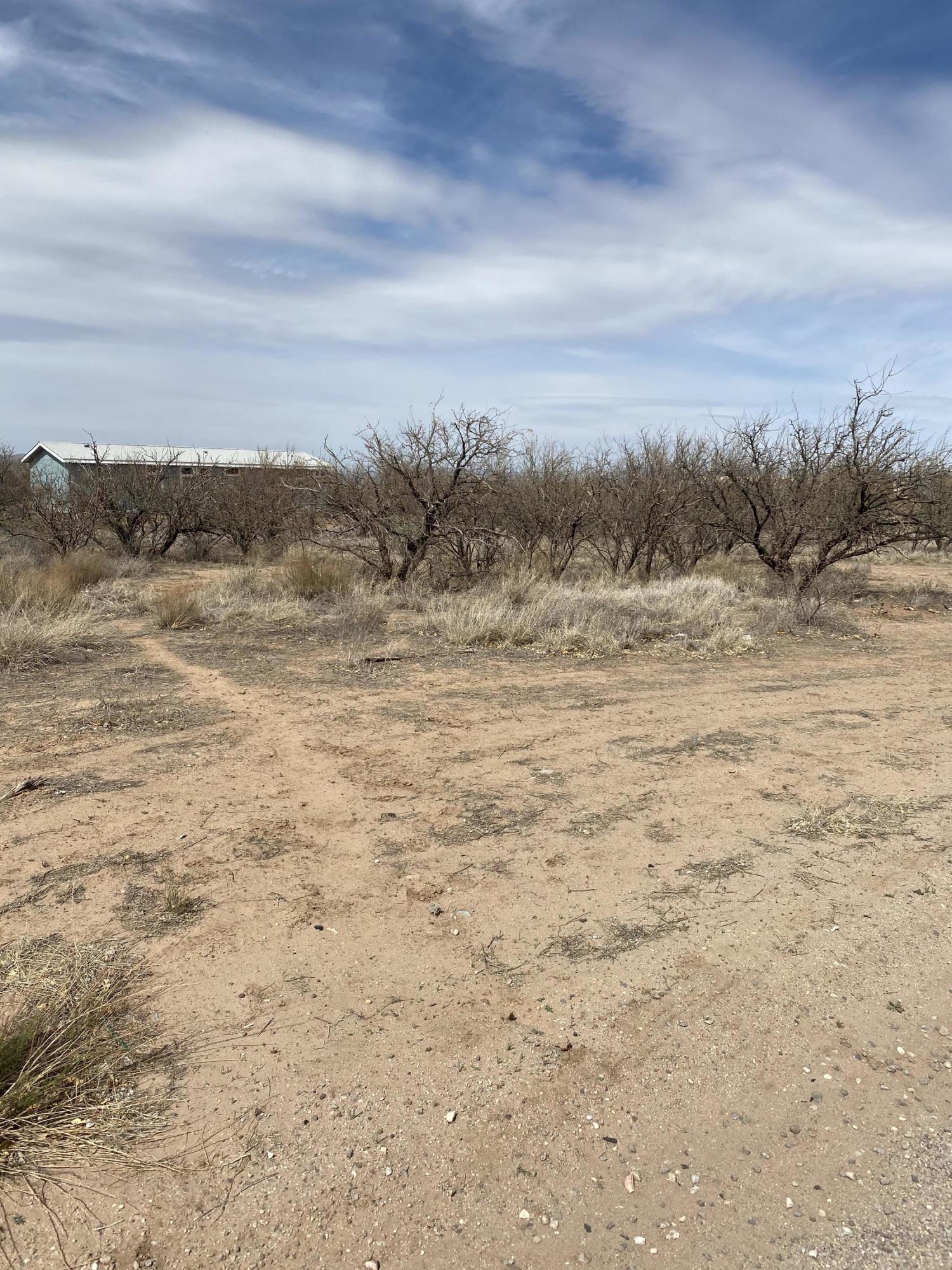 Ideal lot for Manufactured Home or Site build with easy access to I-10. Mescal Water and electric at the lot line. Will need septic. Lot to the west also listed in MLS