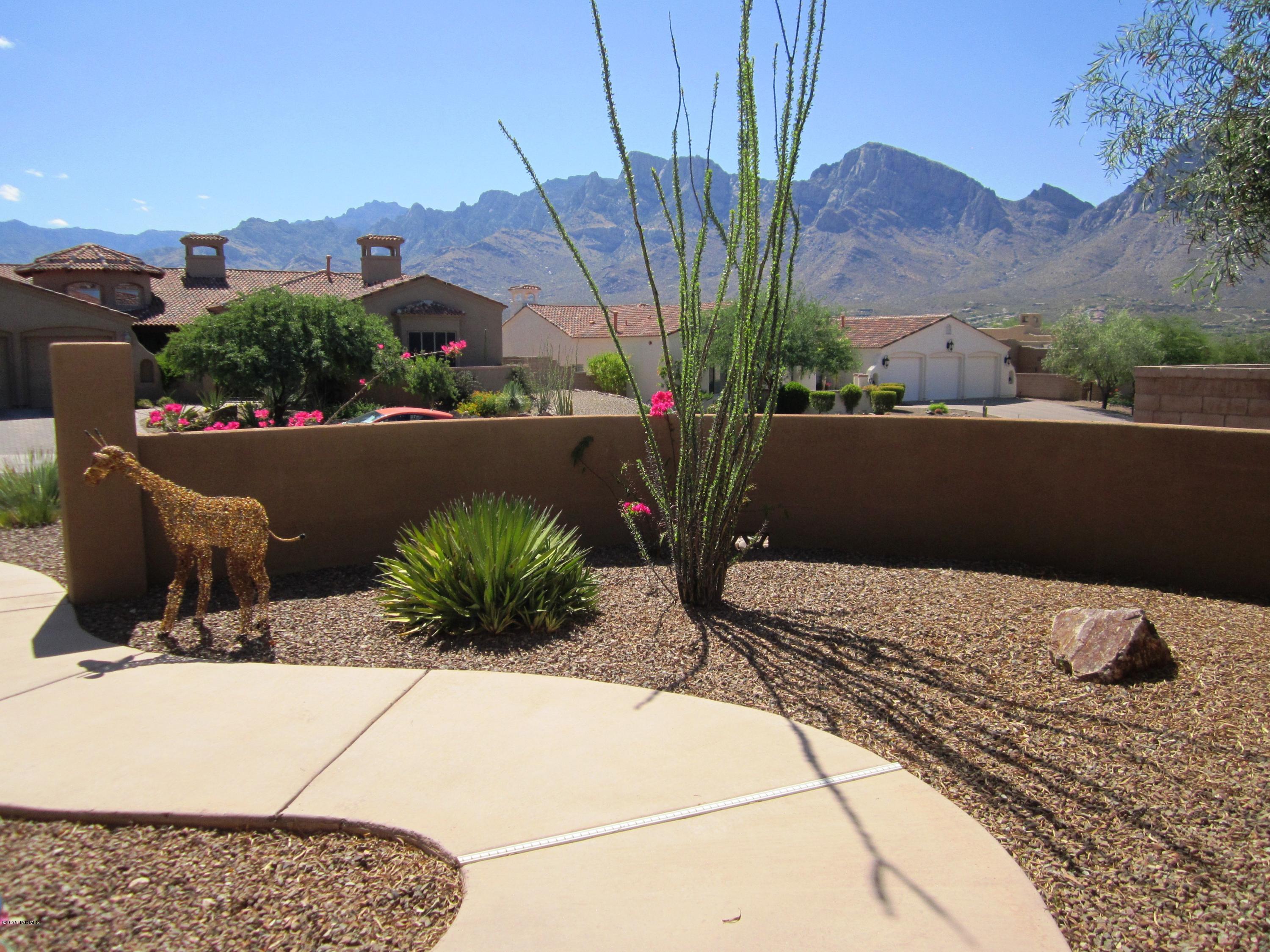 Pusch Ridge Vistas (1-31) - Residential Lease