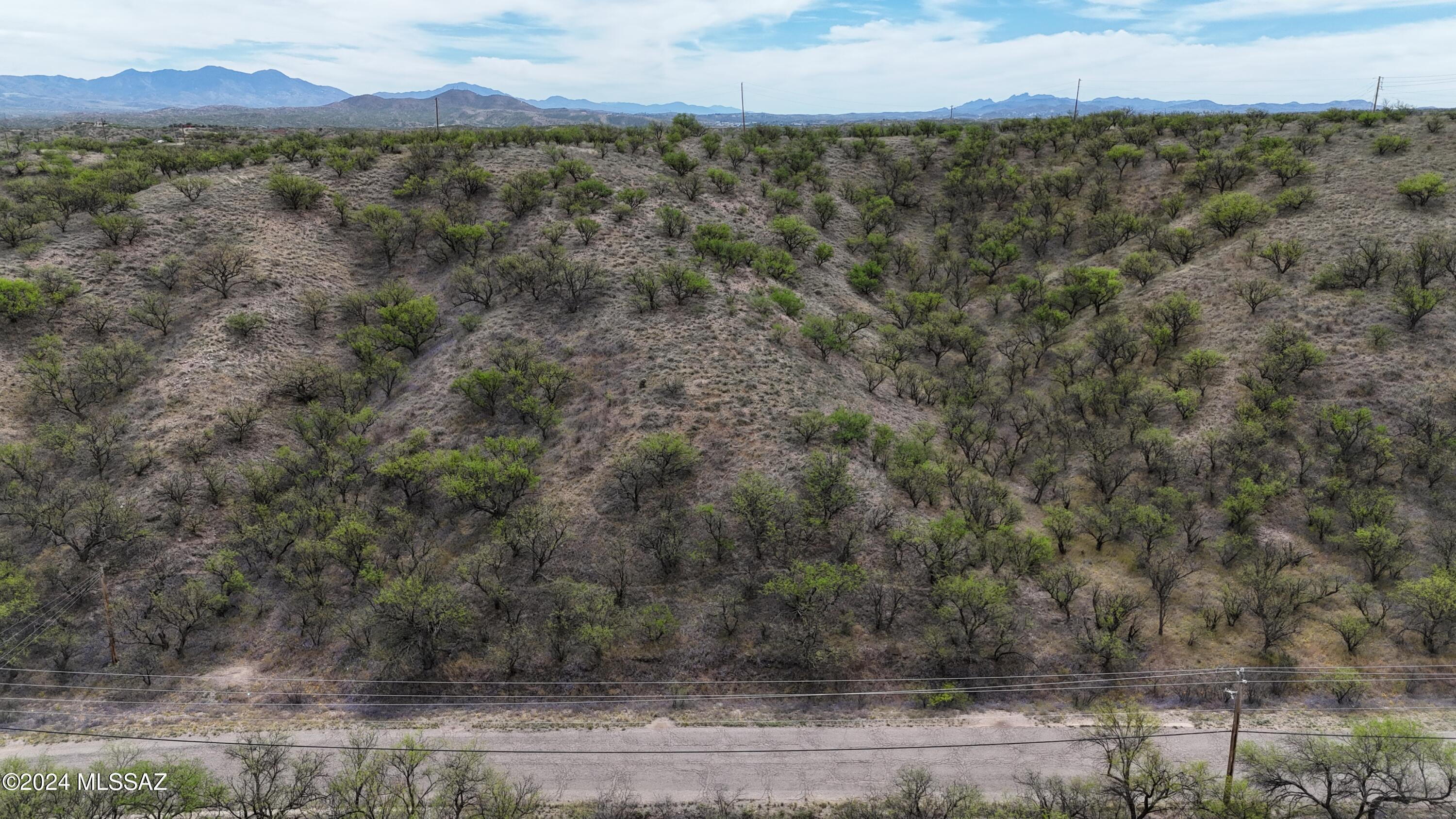 Rio Rico Estates 13 - Land