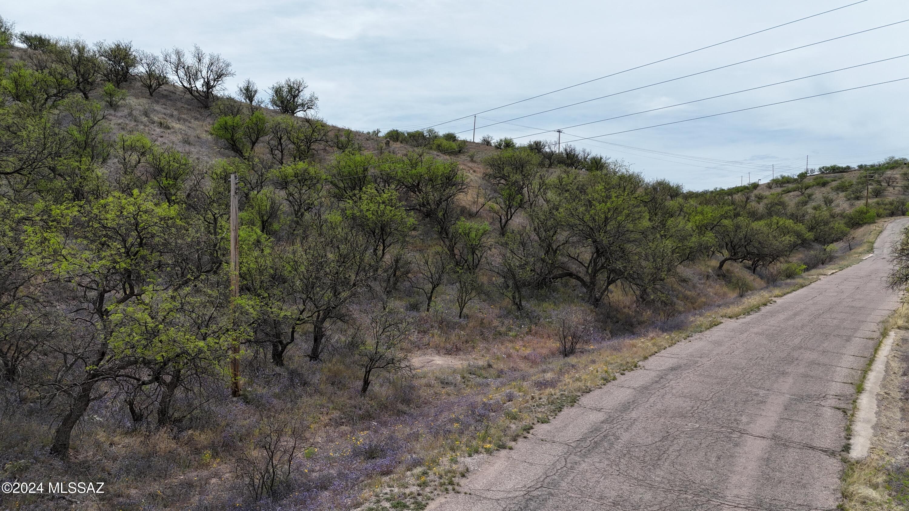 Rio Rico Estates 13 - Land