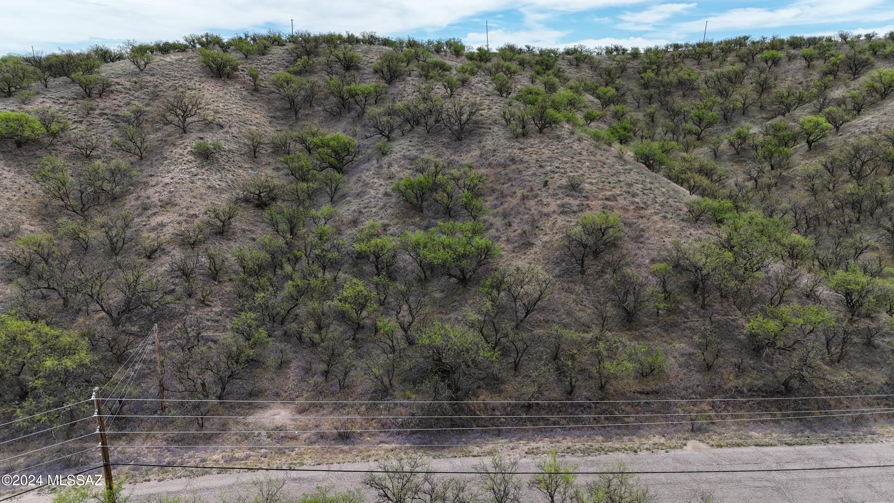 Rio Rico Estates 13 - Land